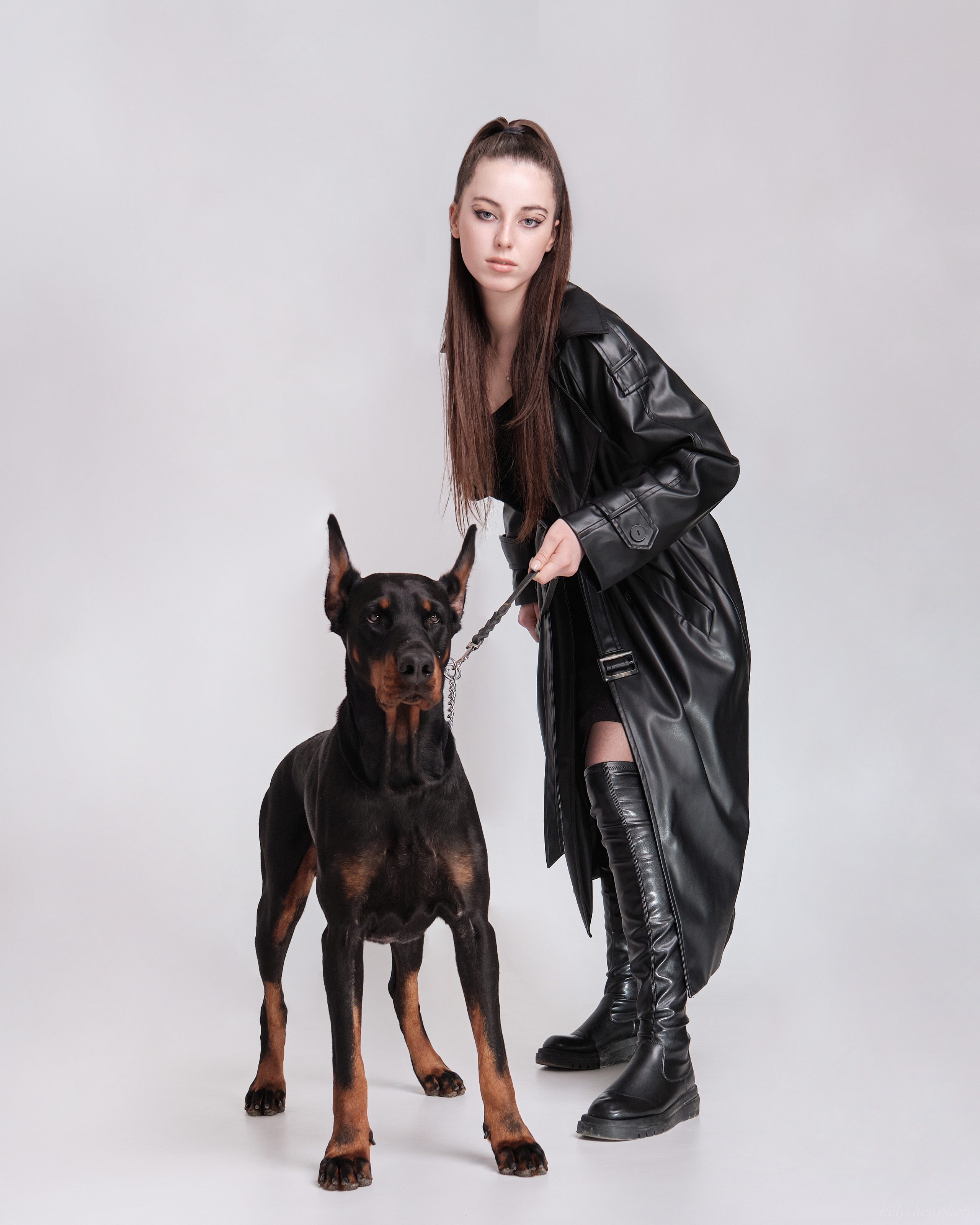 фотосессия с доберманом