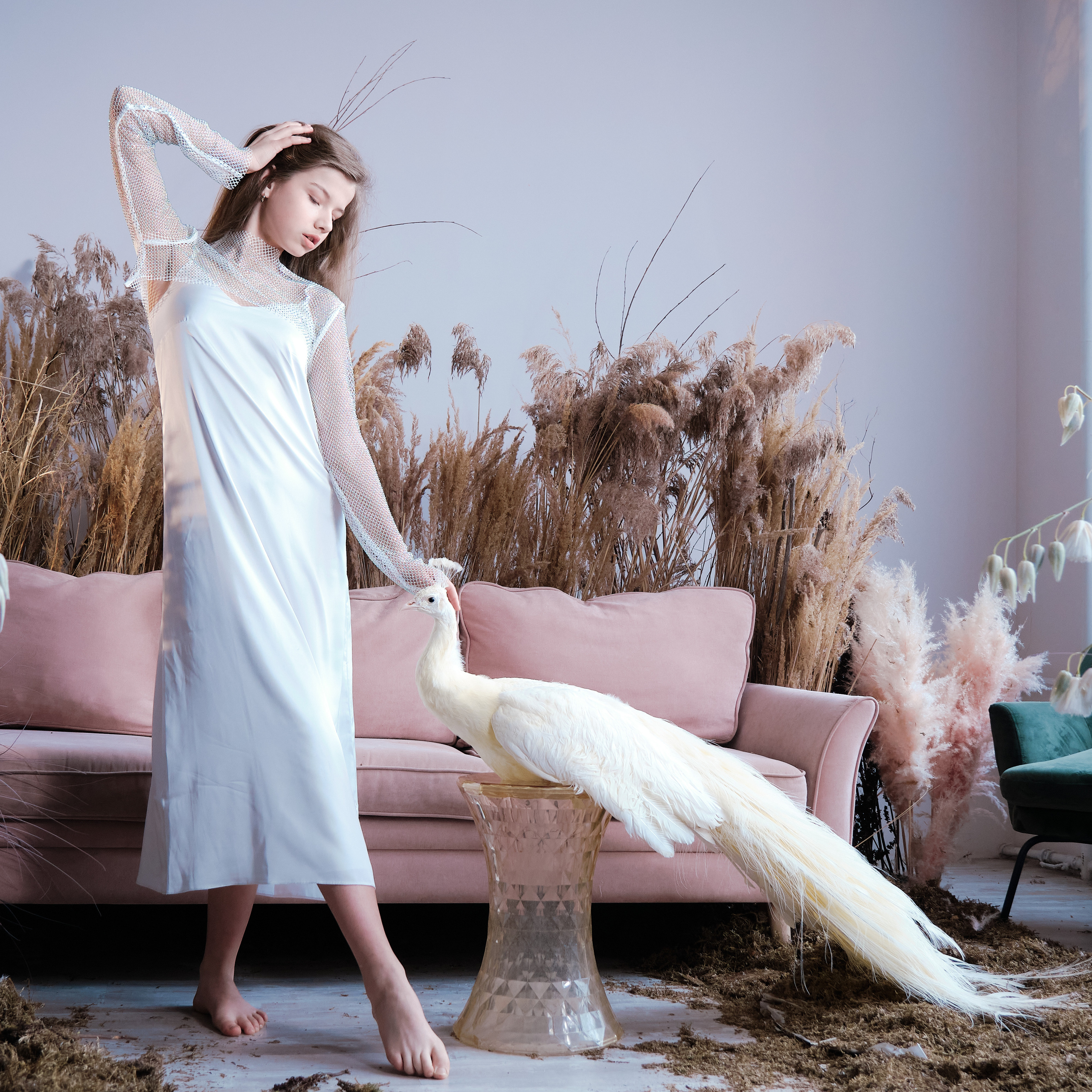 фотосессия с павлином в подарок в Москве