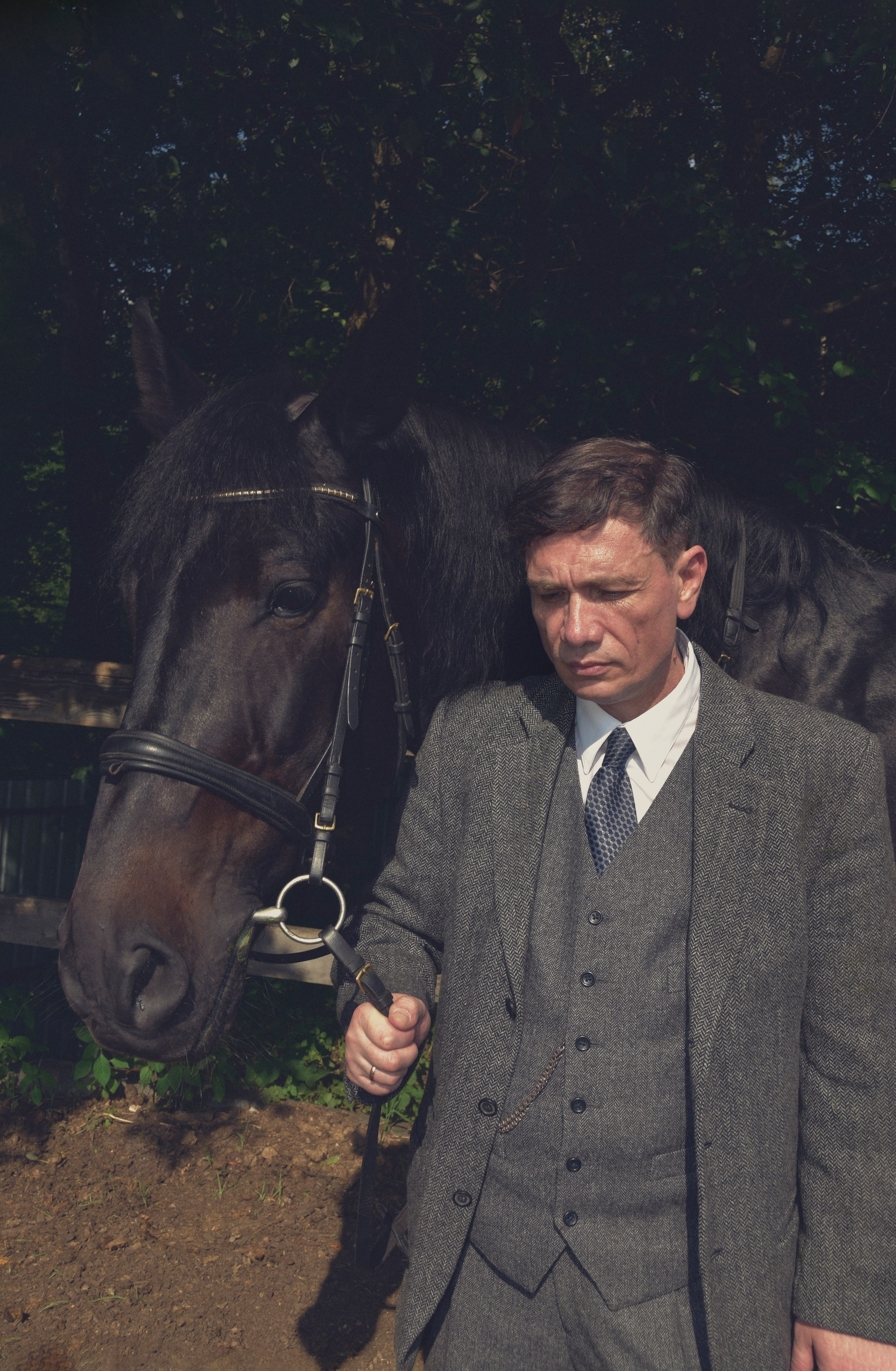Рафаэль и Султан. Peaky Blinders. Конный фотограф Москва