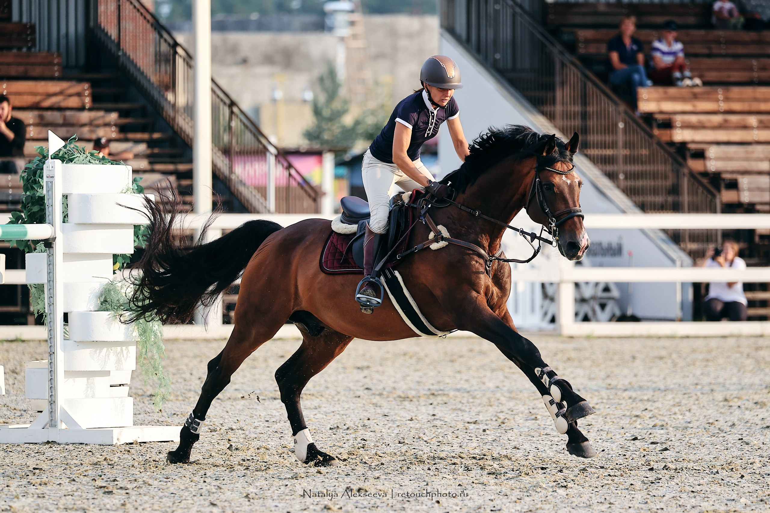 Лично-Командный ЧР по конкуру, КСК Horseka | 08'2023. Репортажный фотограф и ретушер в Москве Наталья Алексеева