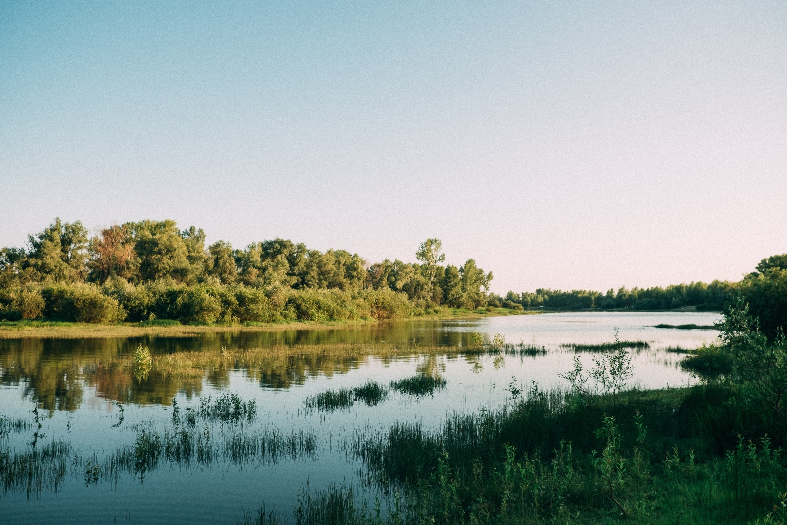 Трое. Свадебный и семейный фотограф Барнаул Рубцовск Бийск Алтайский край