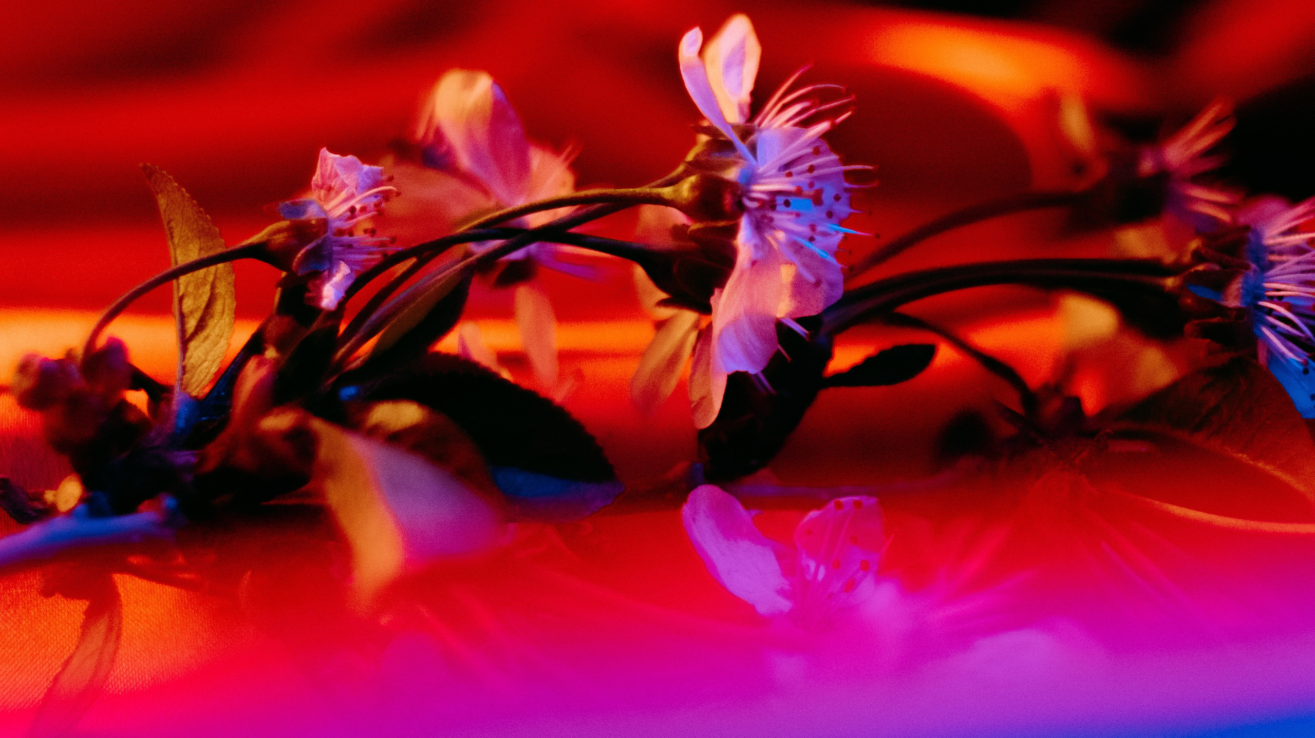 ПОРТФОЛИО. Photographer Zoya Smirnova