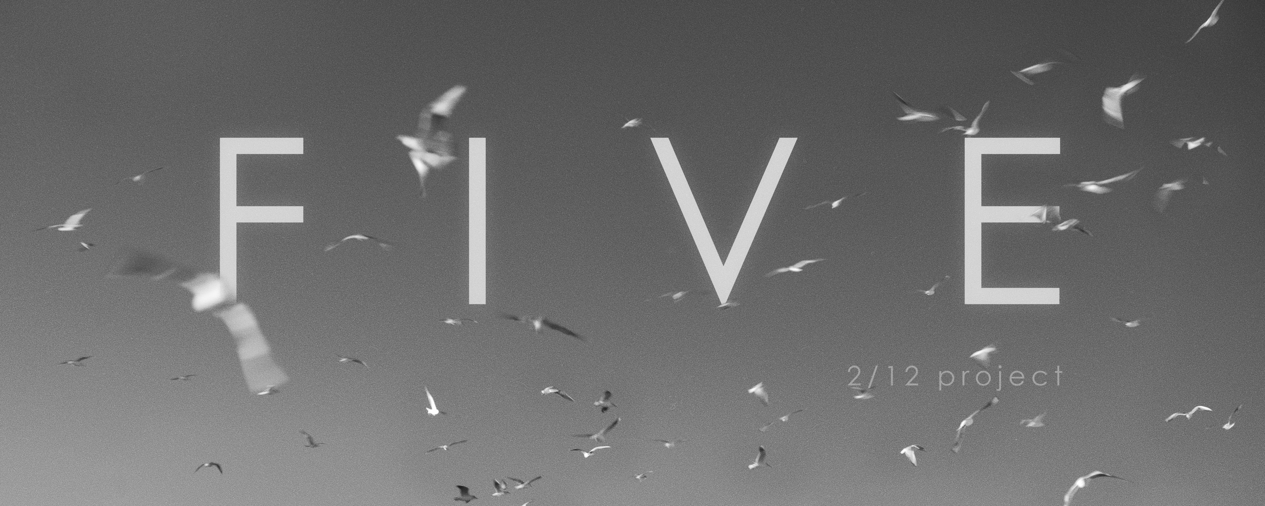 2/12 "FIVE". Фотограф в Краснодаре, Москве, Санкт-Петербурге Андрей Резун