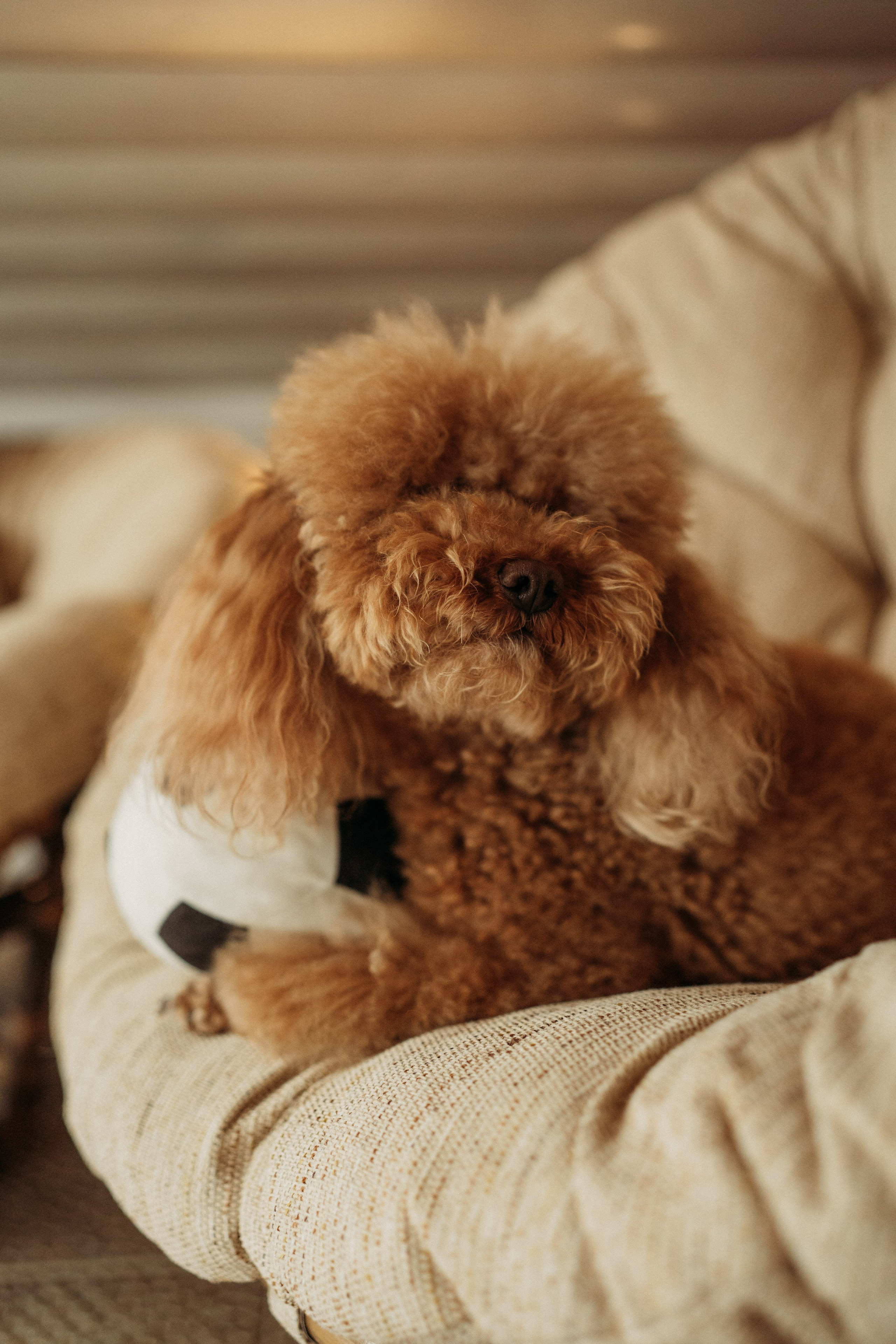 Семья Марины|Москва 2025