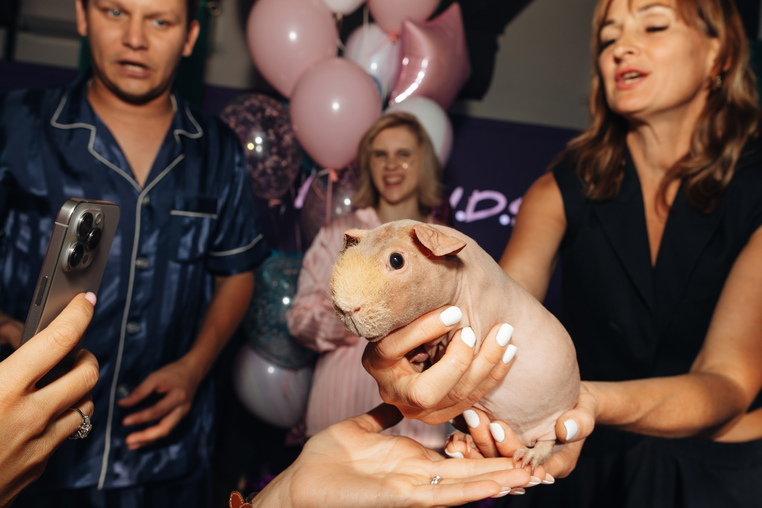 София, с днём рождения!. Портретный фотограф в Москве и МО Зимина Татьяна