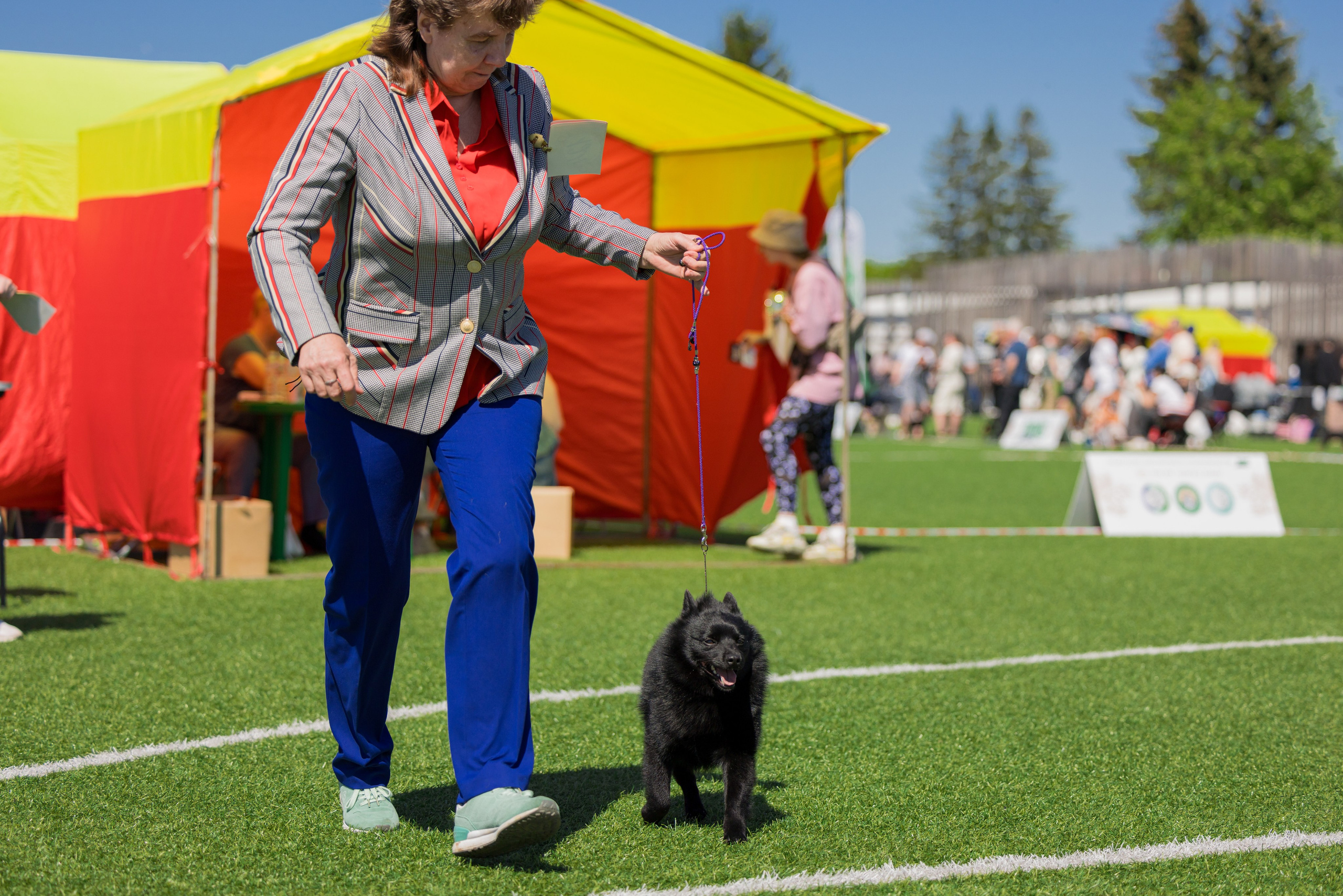 Суздаль 18-19.05.2024. Фотограф-анималист Юлия Германика