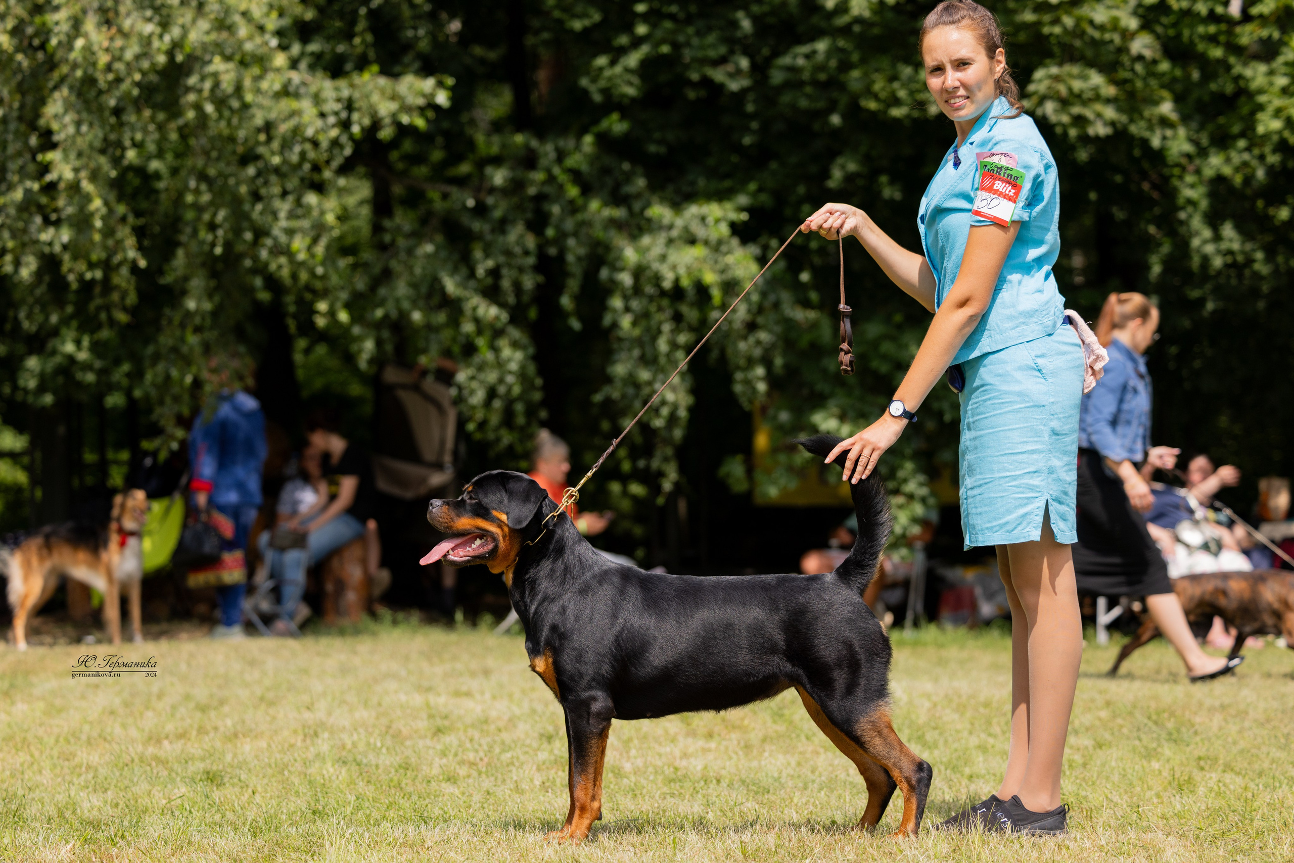 Ярославль 21.07.24 и Балашиха 13.07.24. Фотограф-анималист Юлия Германика