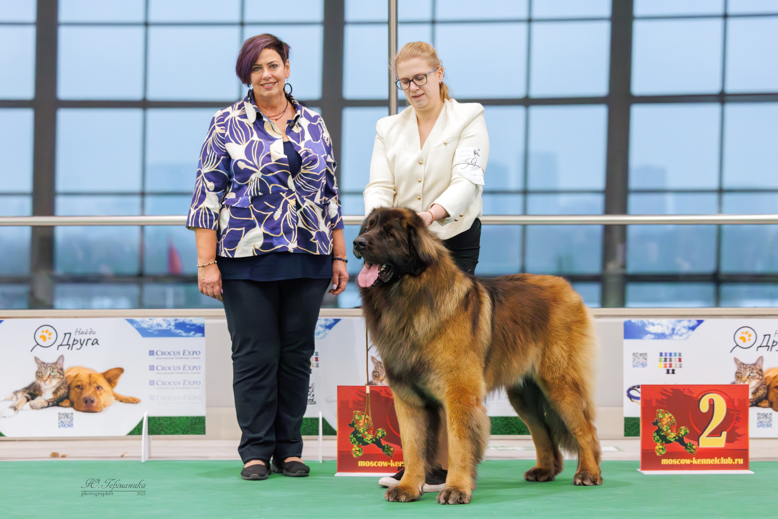 Гран-При 8.02.2025 и Крокус 09.02.2025. Фотограф-анималист Юлия Германика