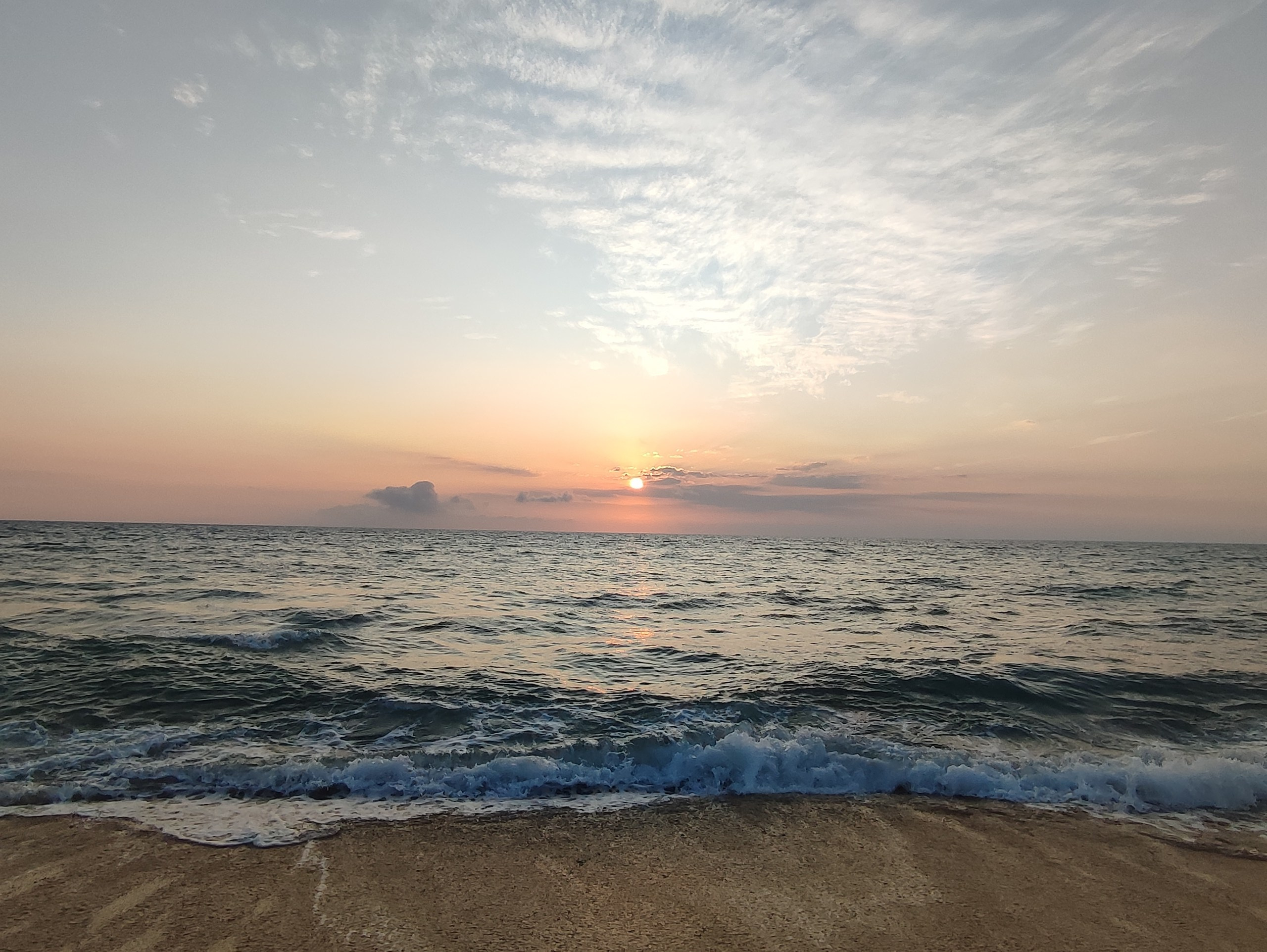 Шри-Ланка | 31.01 — 10.02.2025. Галерея Фантим