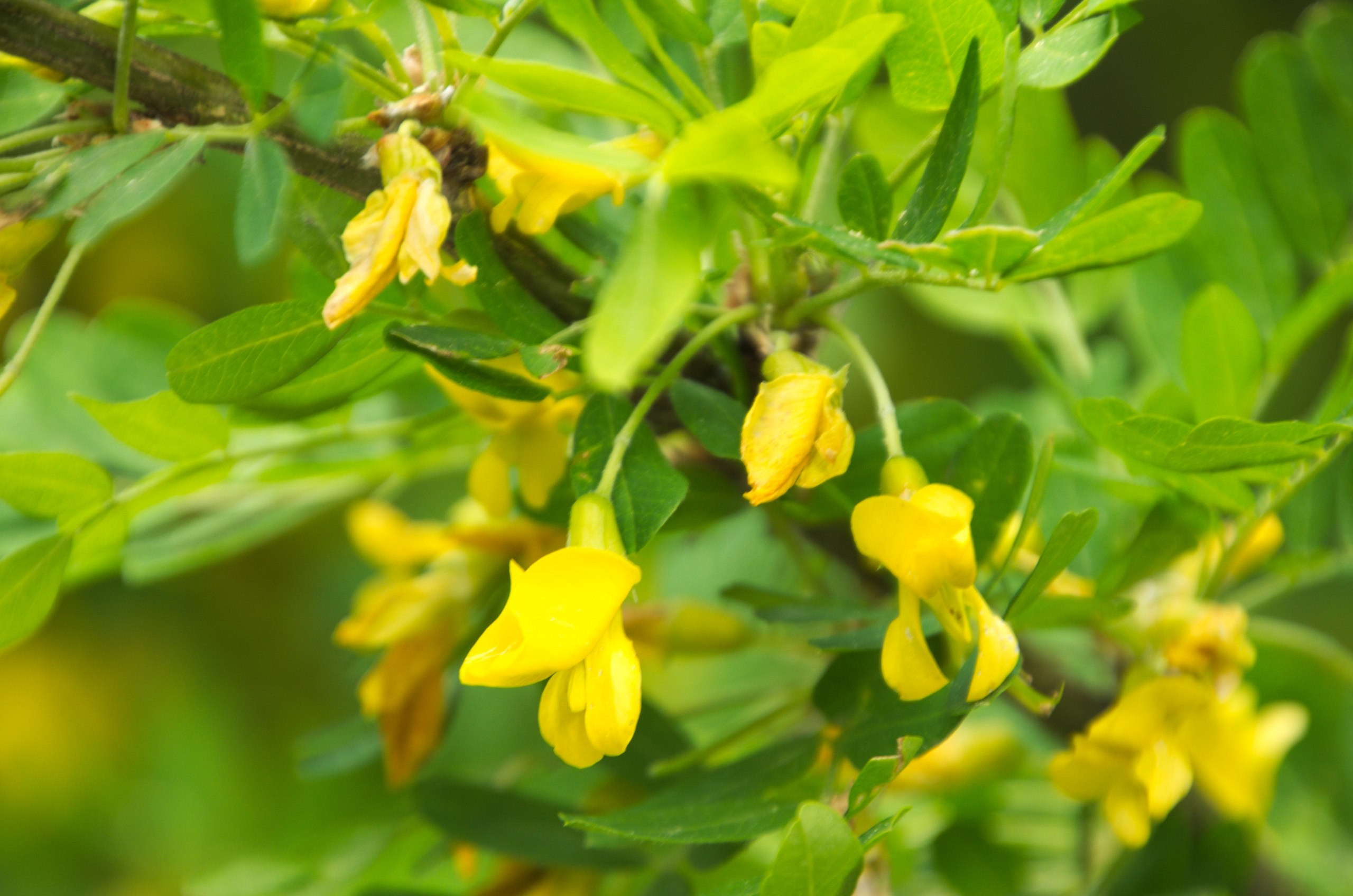 Чехия | 06-09.05.2017. Галерея Фантим