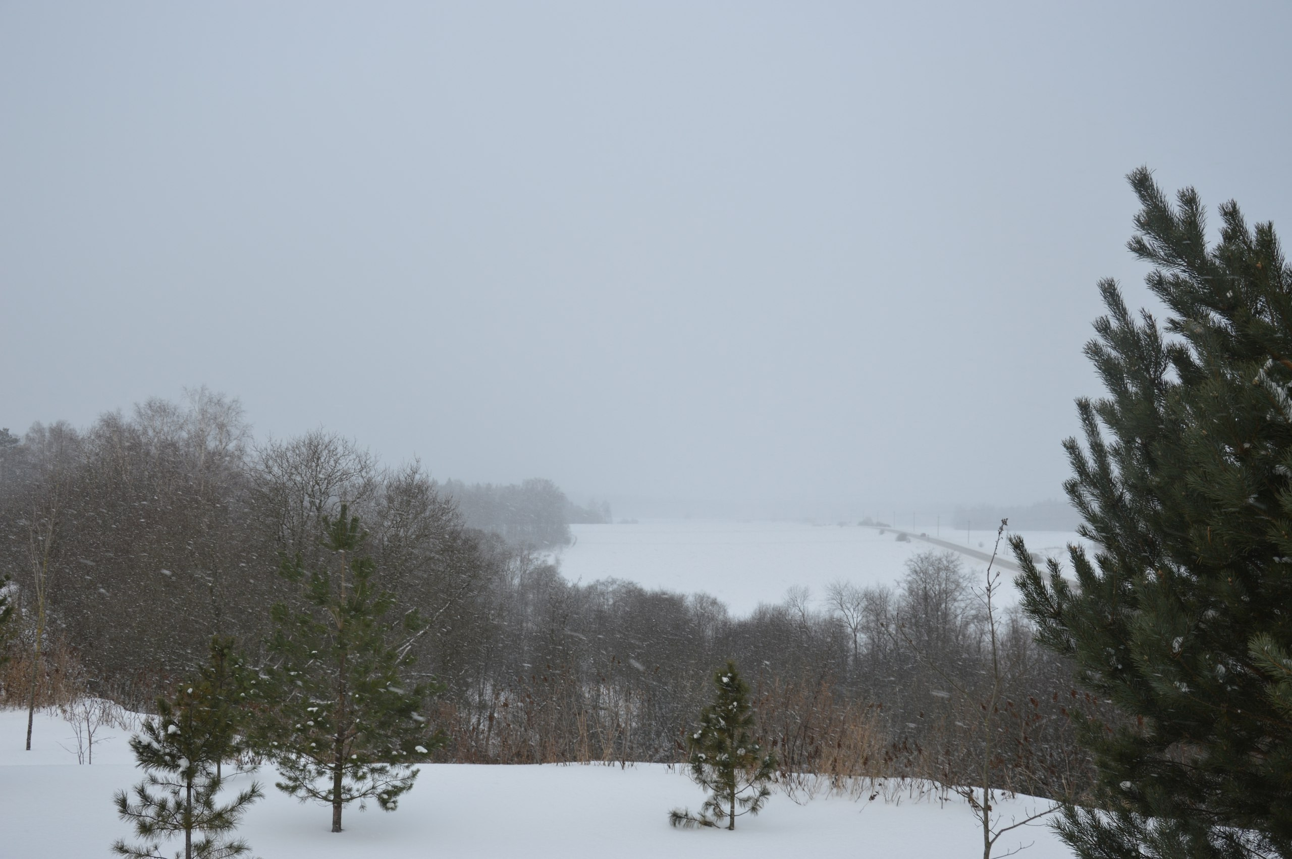Сергиев Посад | 11.12.2016. Галерея Фантим