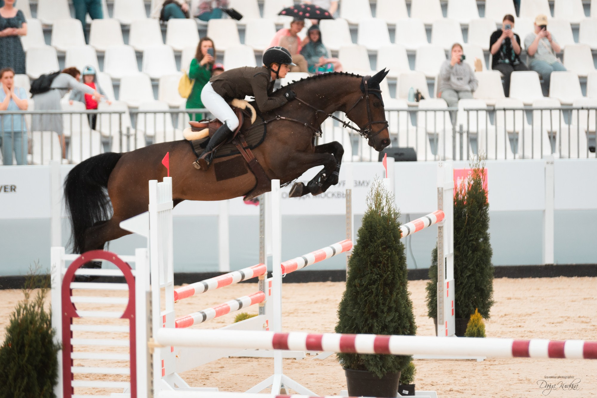 BITRIVER CUP 2023. Конный фотограф Куракина Дарья • Фотосессии с лошадьми