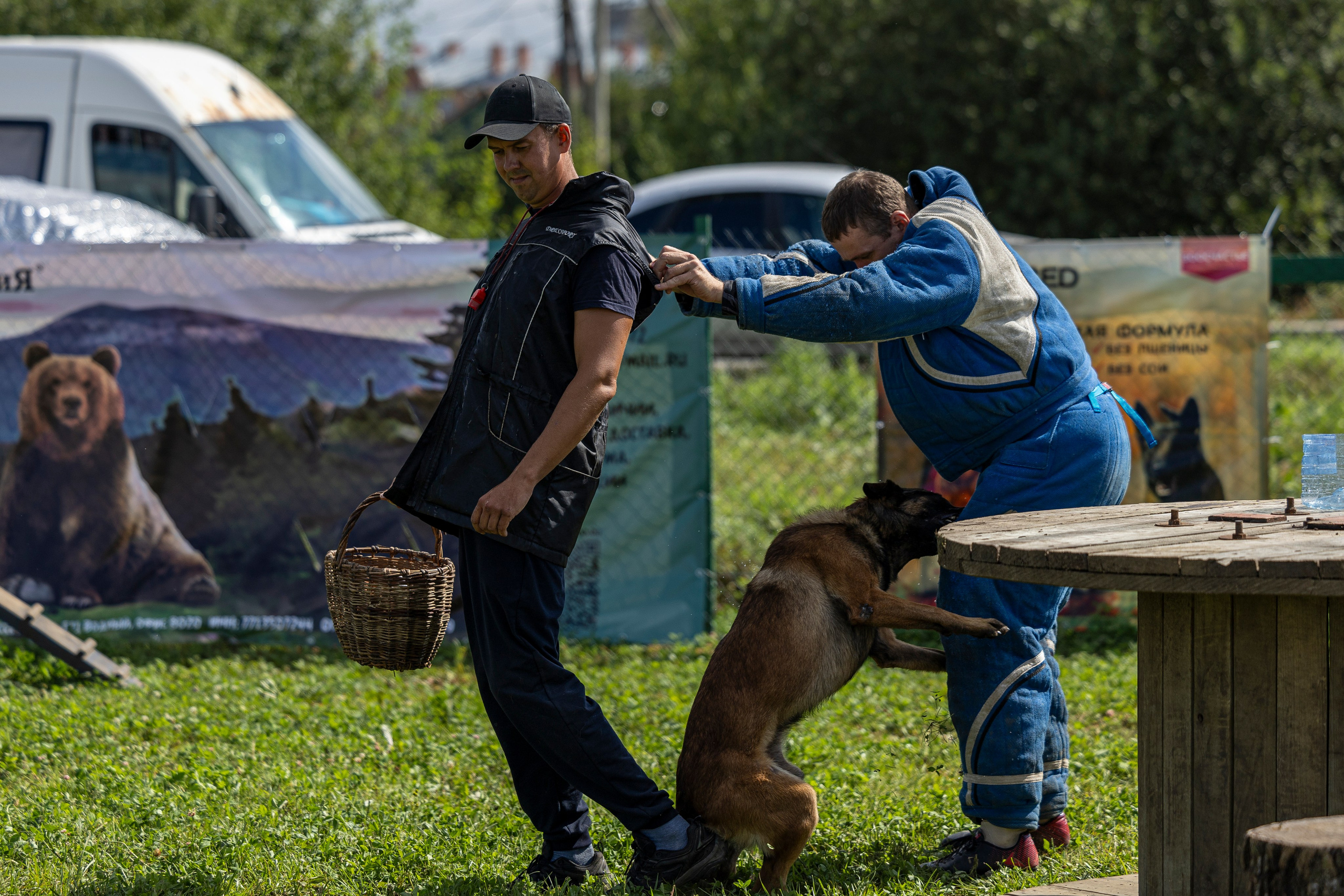 Соревнования по Мондьорингу г. Вологда 10-11.08.2024. Фотограф-анималист Анна Маринич