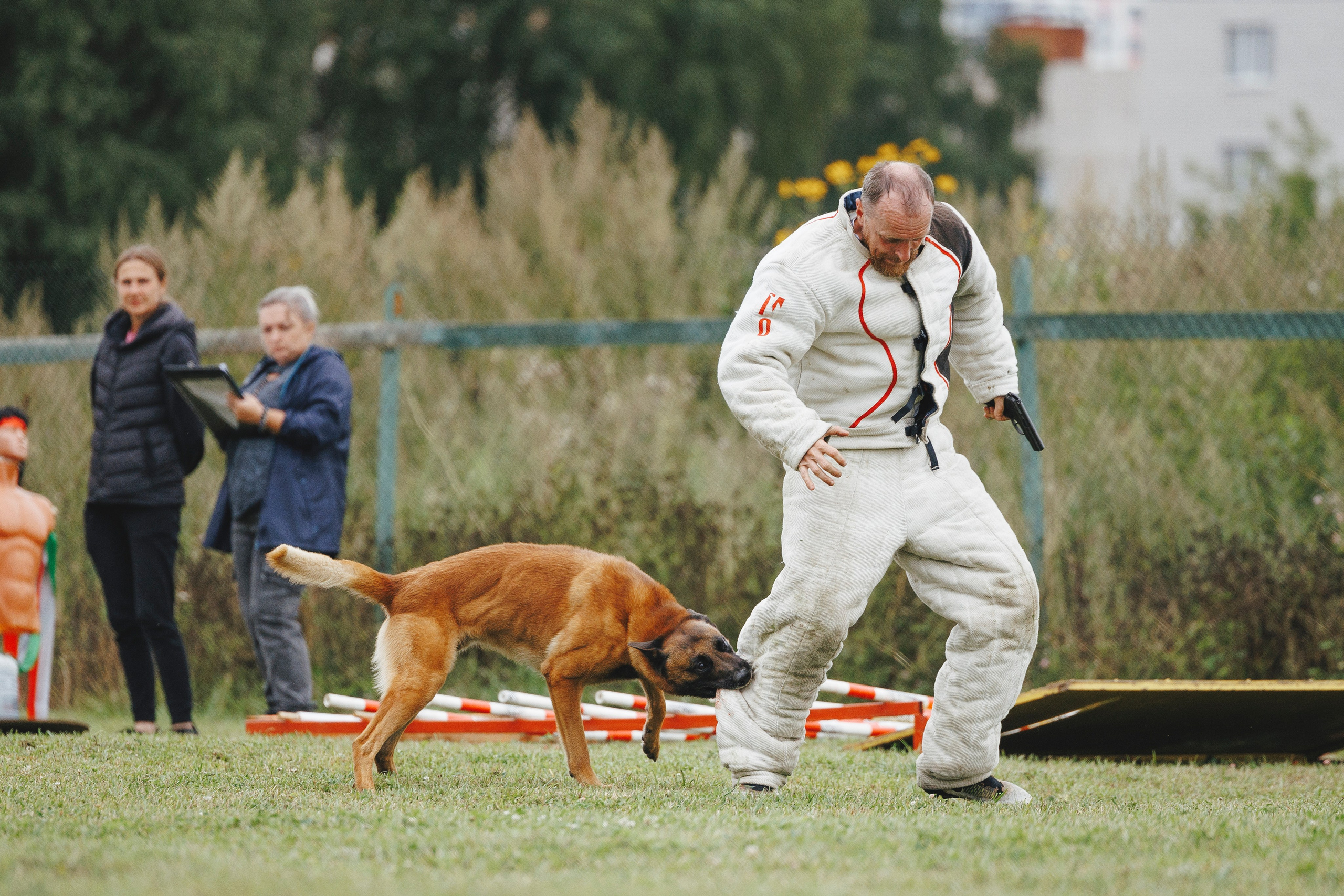 08.08.25-10.08.25 ЧР по мондьорингу г. Вологда. Фотограф-анималист Анна Маринич