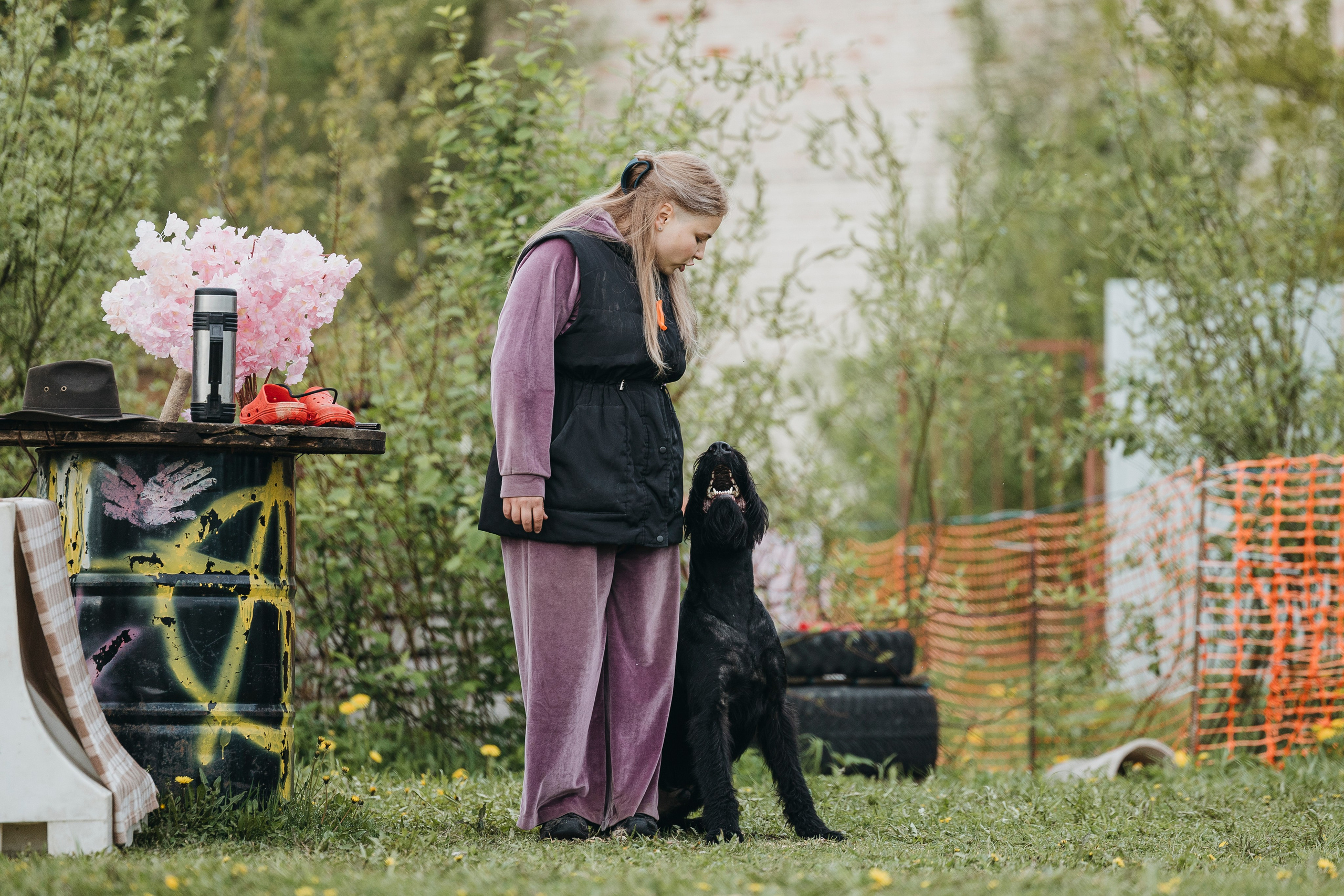 26.05.25 г. Пушкин квалификационные соревнования. Фотограф-анималист Анна Маринич