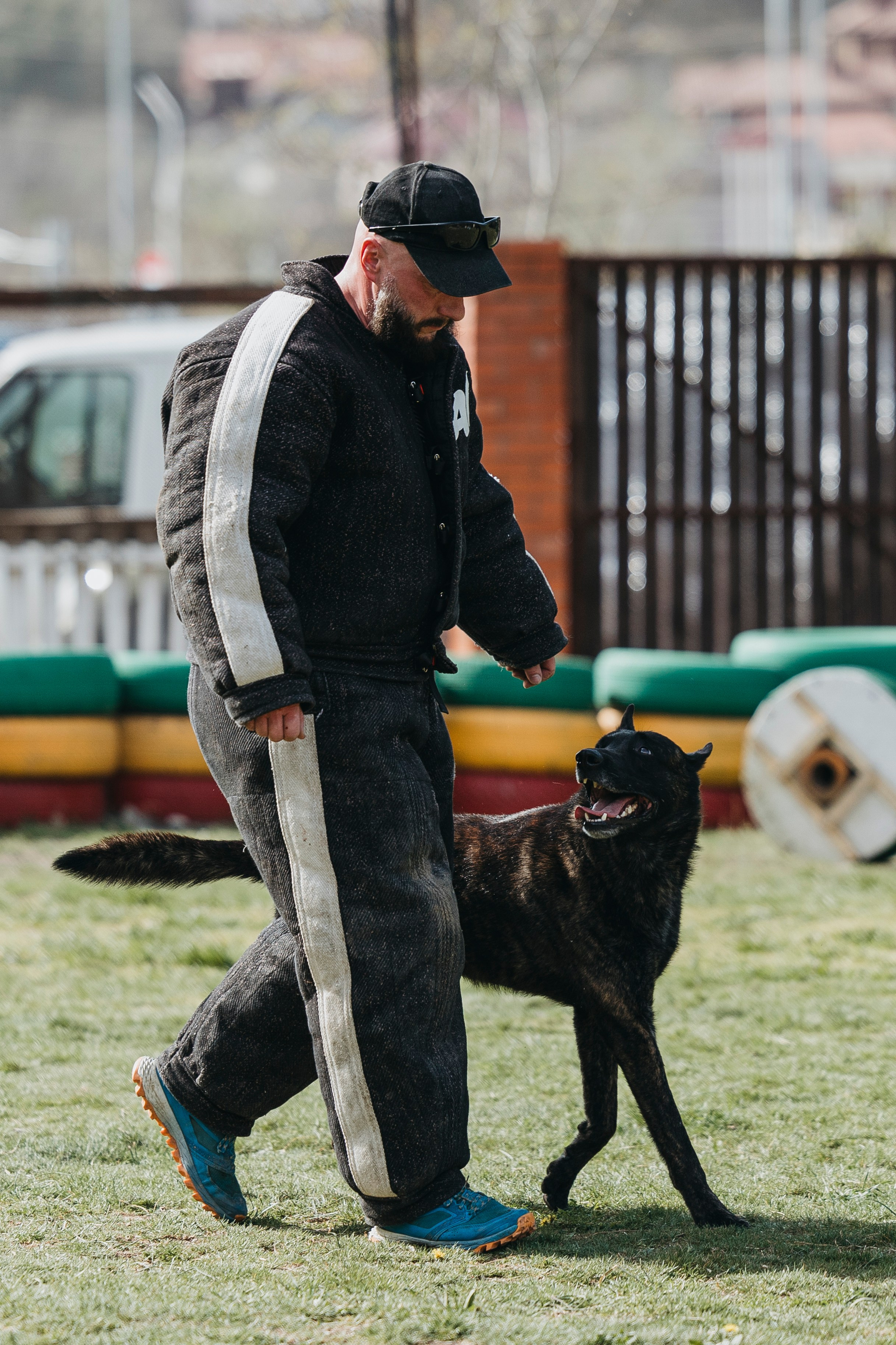 Геленджик Мондьоринг. Фотограф-анималист Анна Маринич