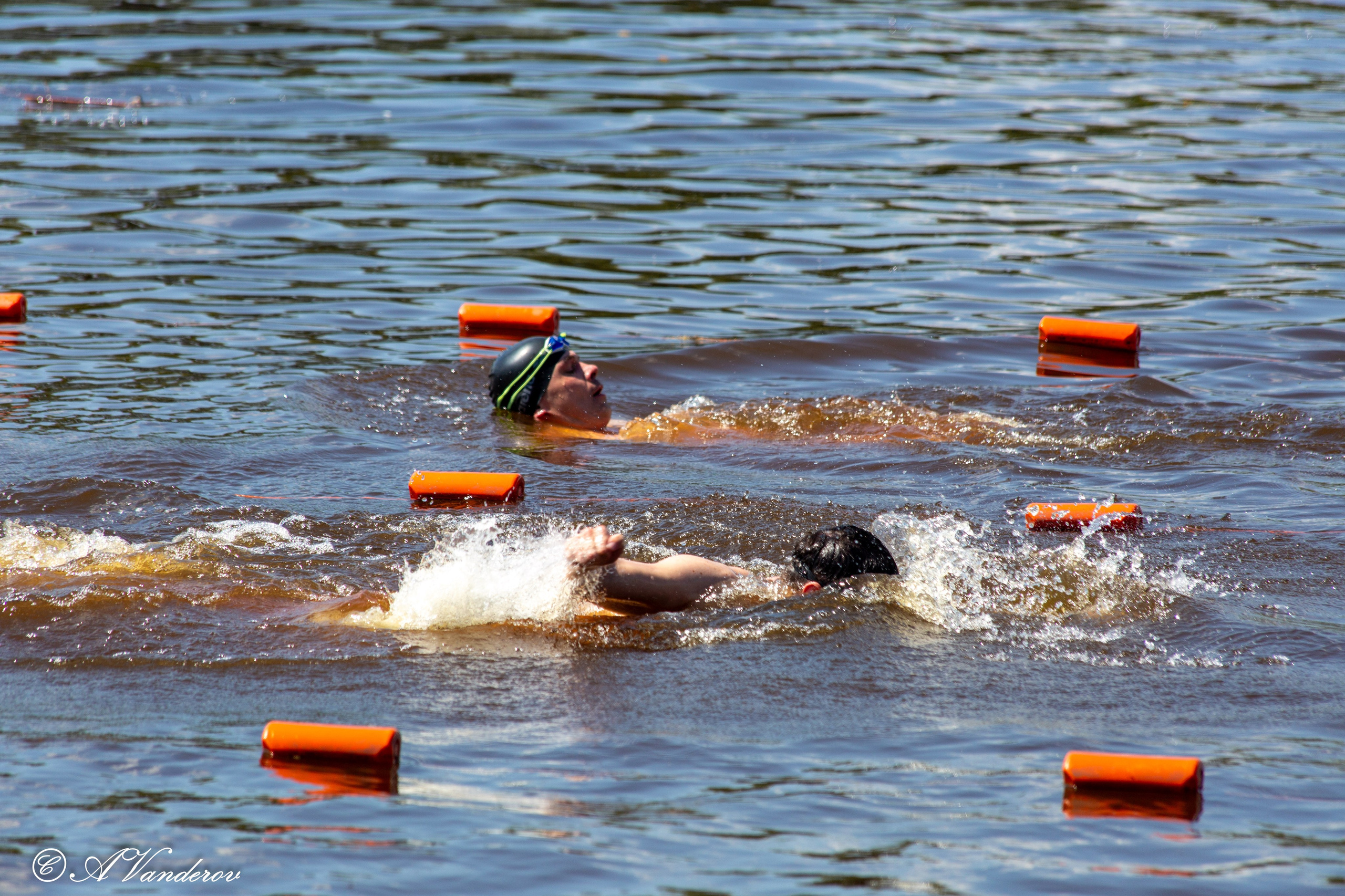 Заплыв 02.06.2024. Фотограф Омск | Александр Вандеров