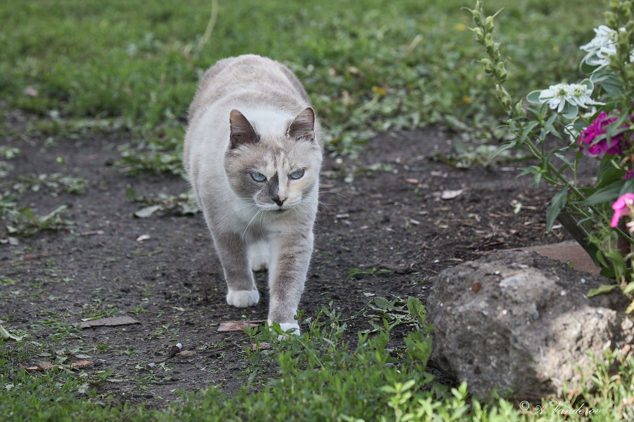 Село Савкино Баганского района Новосибирской области. Фотограф Омск | Александр Вандеров