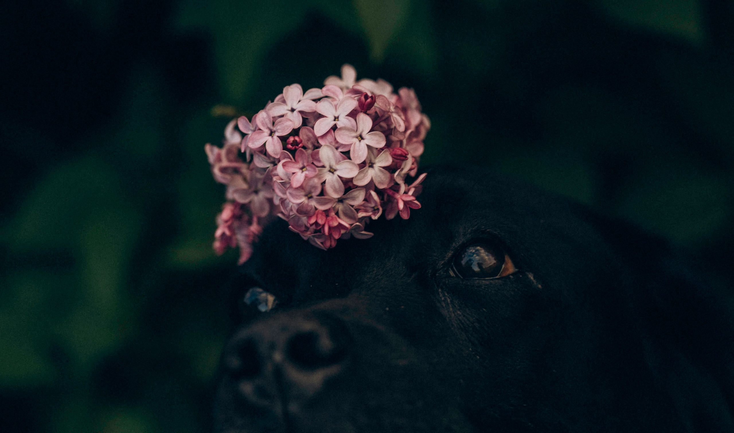 Юлия и Барселона. Татьяна Афонина | Фотограф