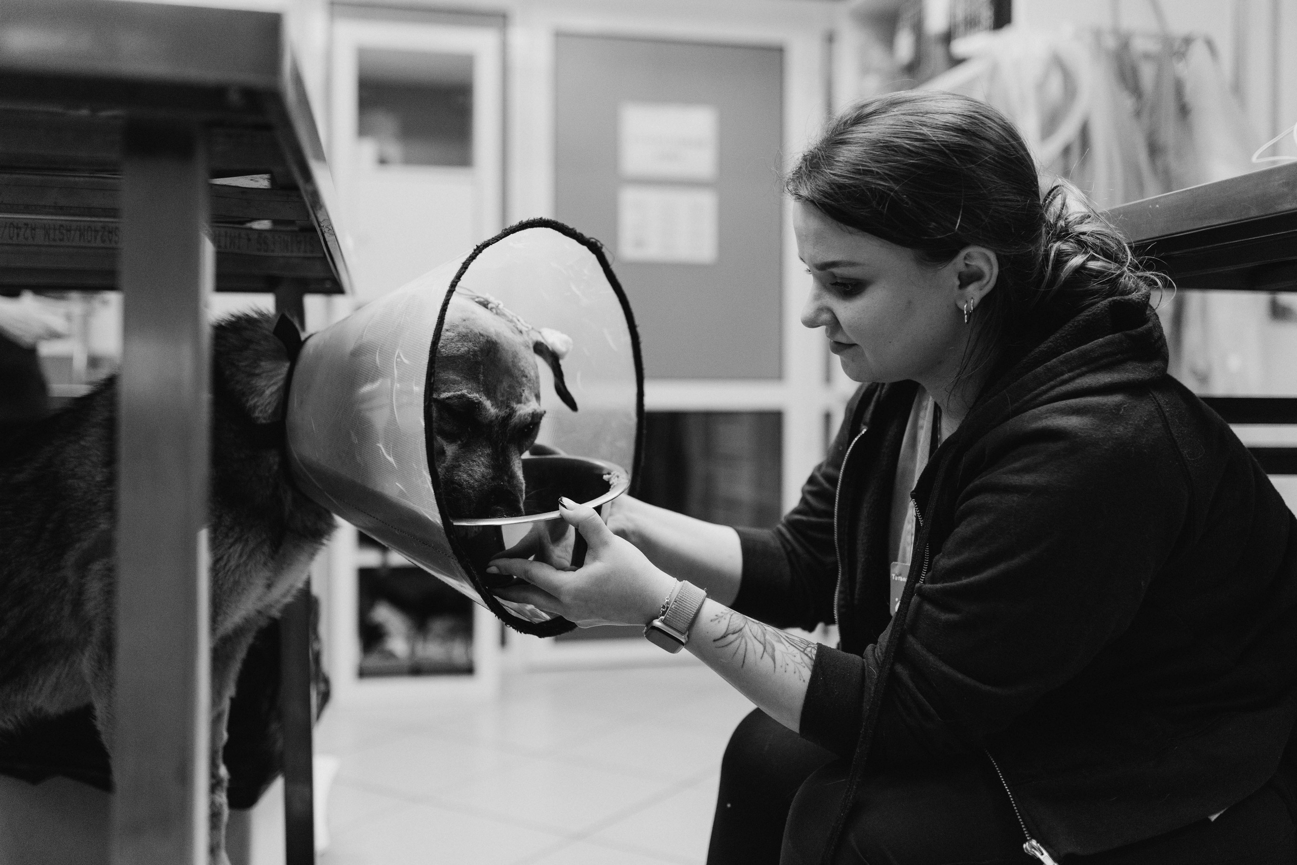 VetLife. Татьяна Афонина | Фотограф