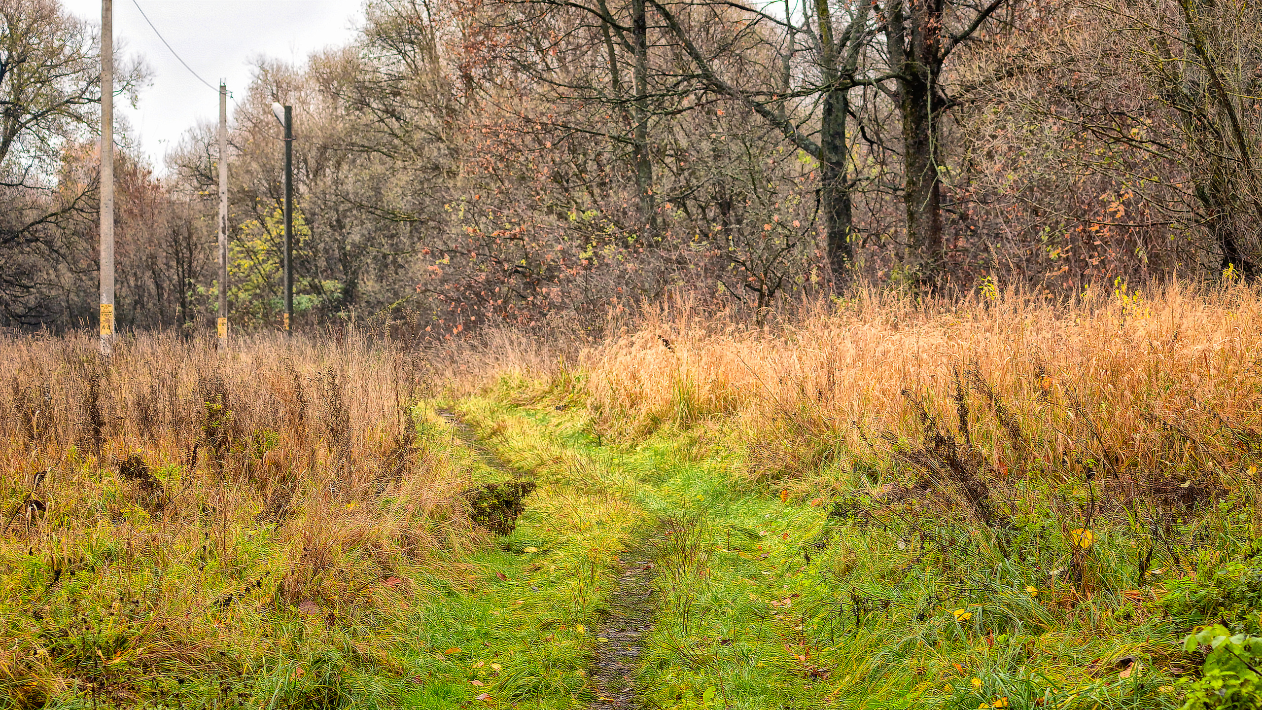 Пейзажи. Свадебный фотограф Олег Шатохин  Москва и Московской область