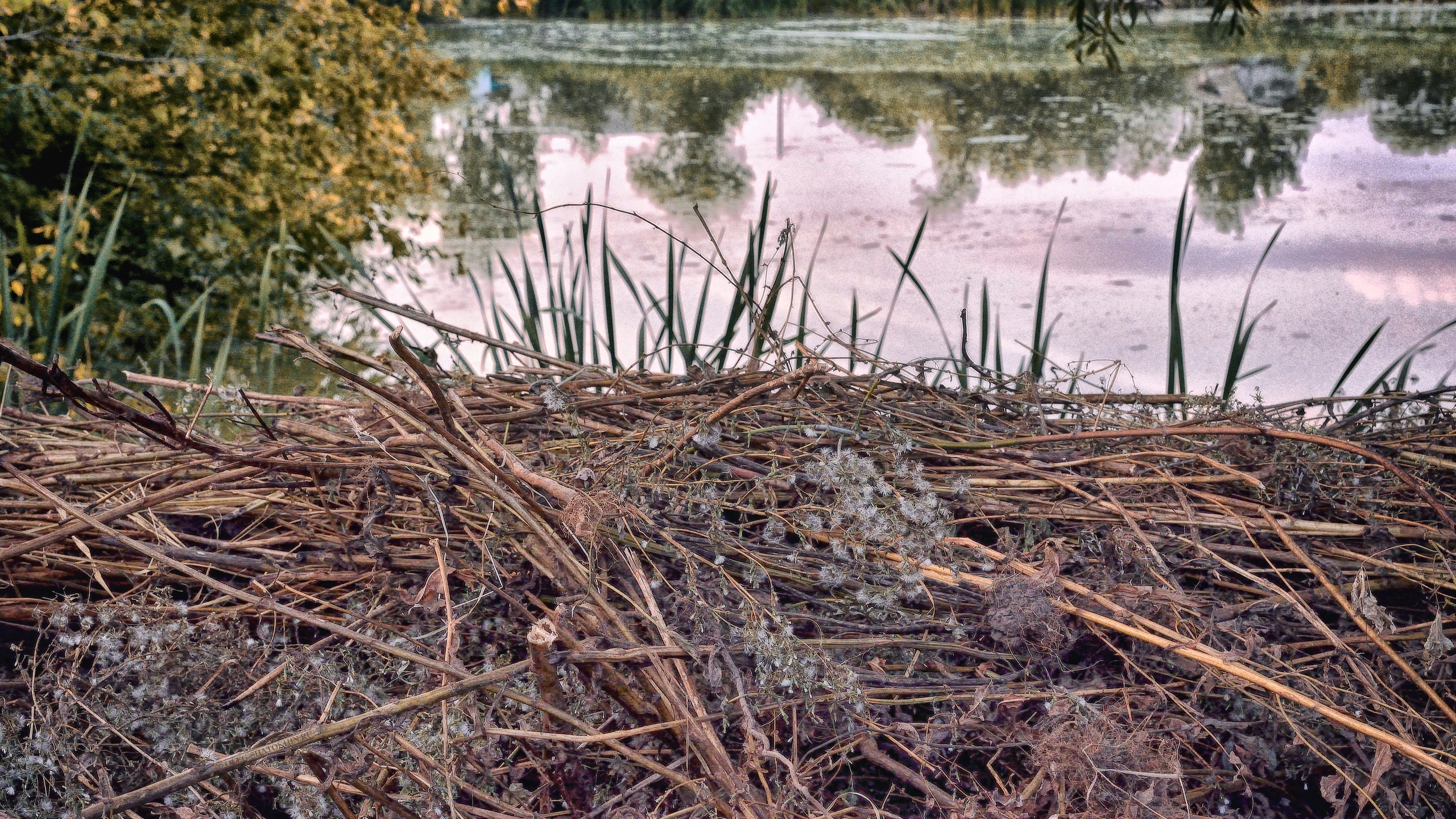 Пейзажи. Свадебный фотограф Олег Шатохин  Москва и Московской область