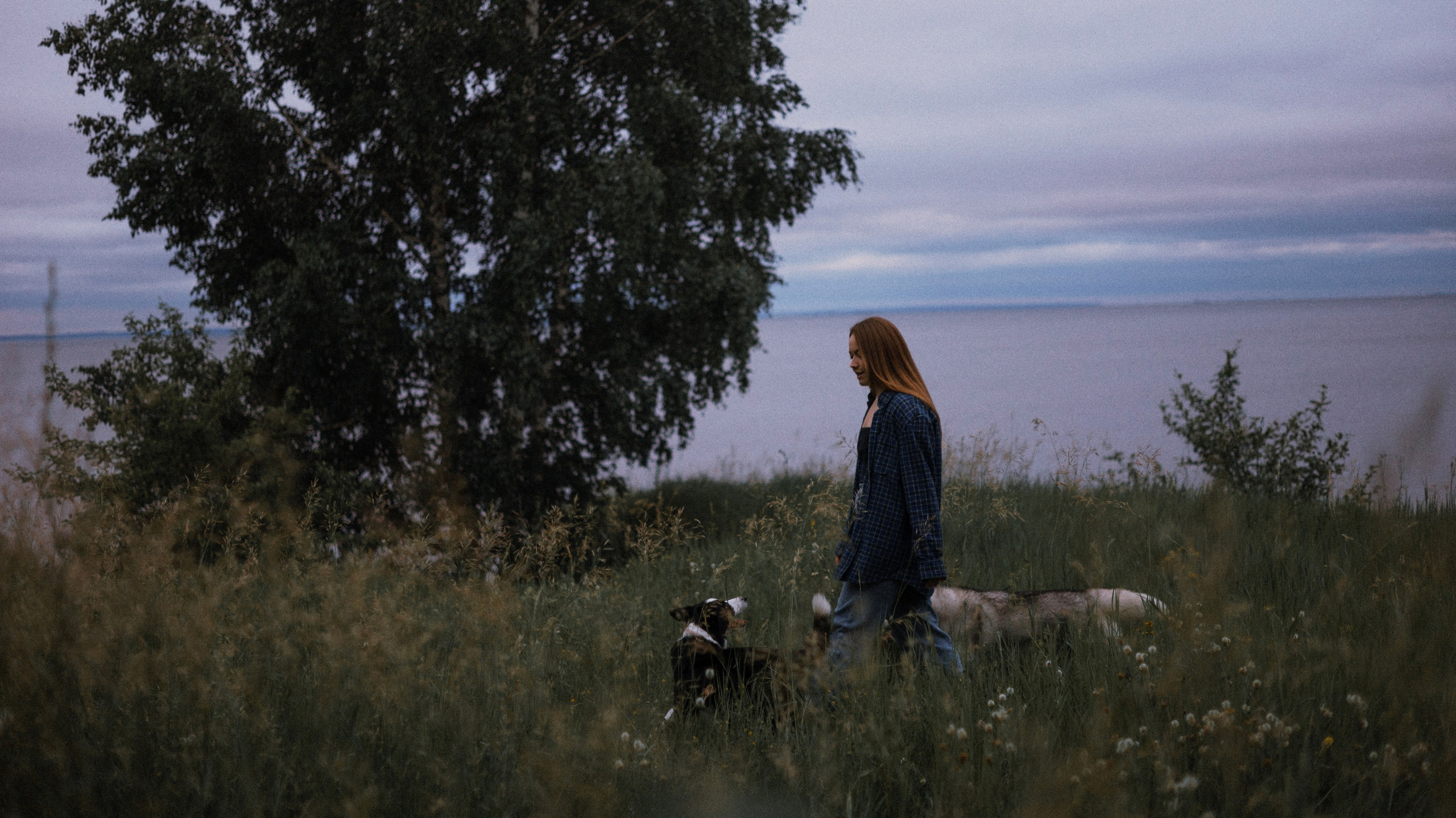Аделя, Вандер, Шайна и Бая. Фотограф-анималист Богданова Полина