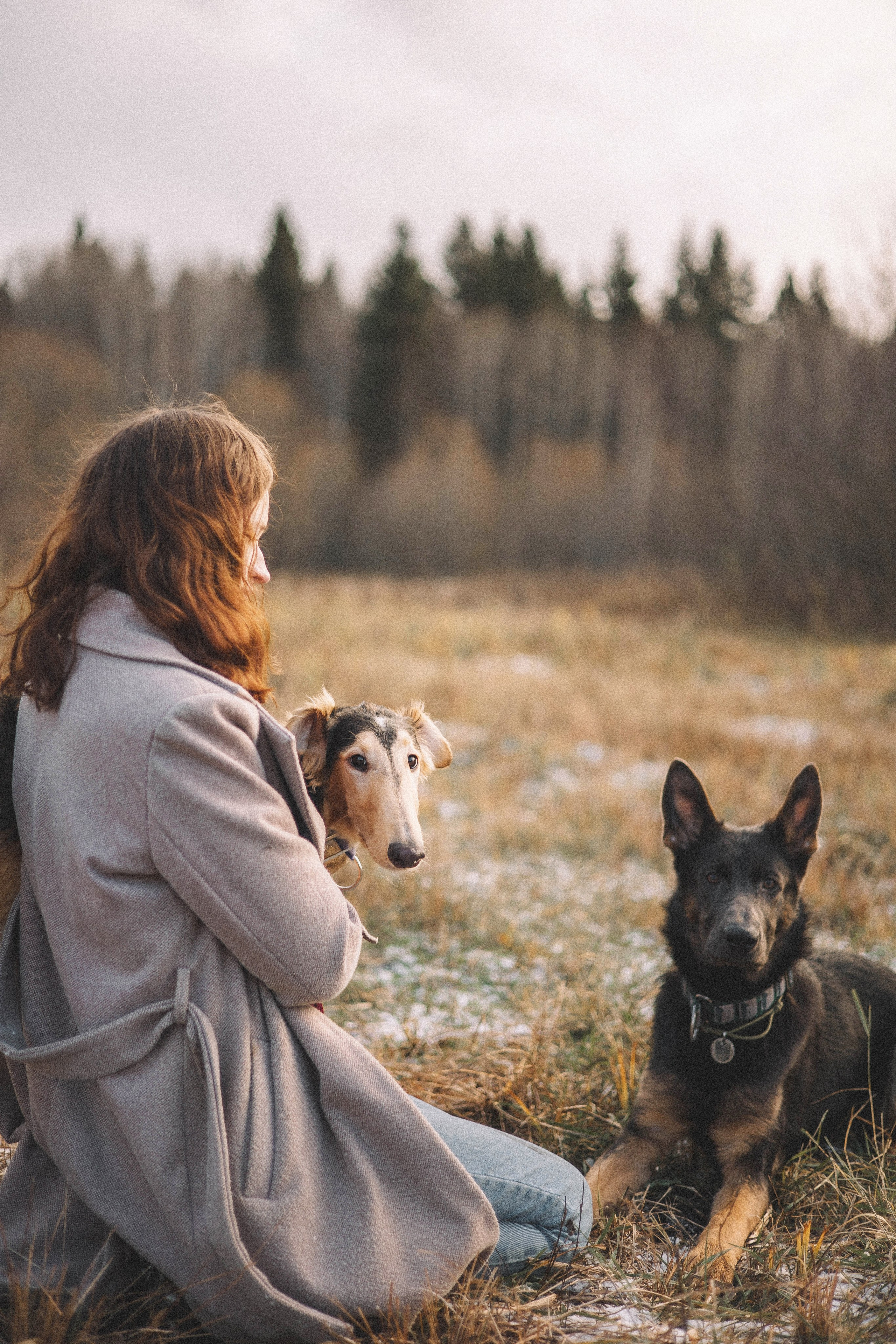 Алена, Леви и Микаса. Фотограф-анималист Богданова Полина