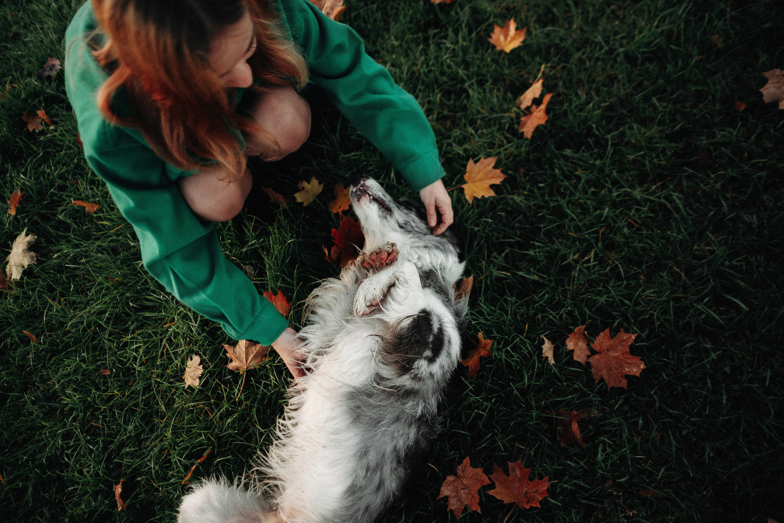 Диана и Робин. Фотограф-анималист Богданова Полина