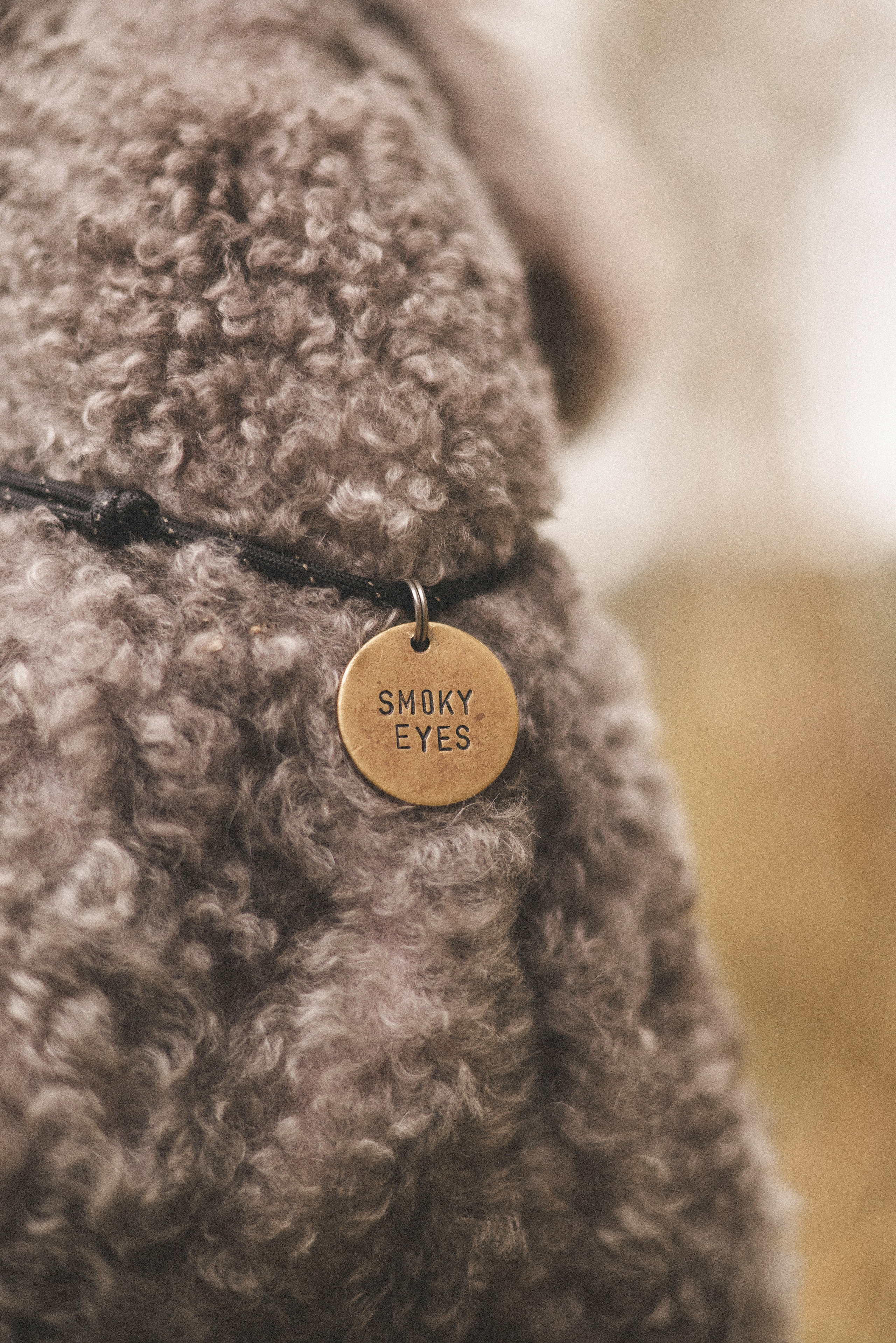 Алёна и Смоки. Фотограф-анималист Богданова Полина