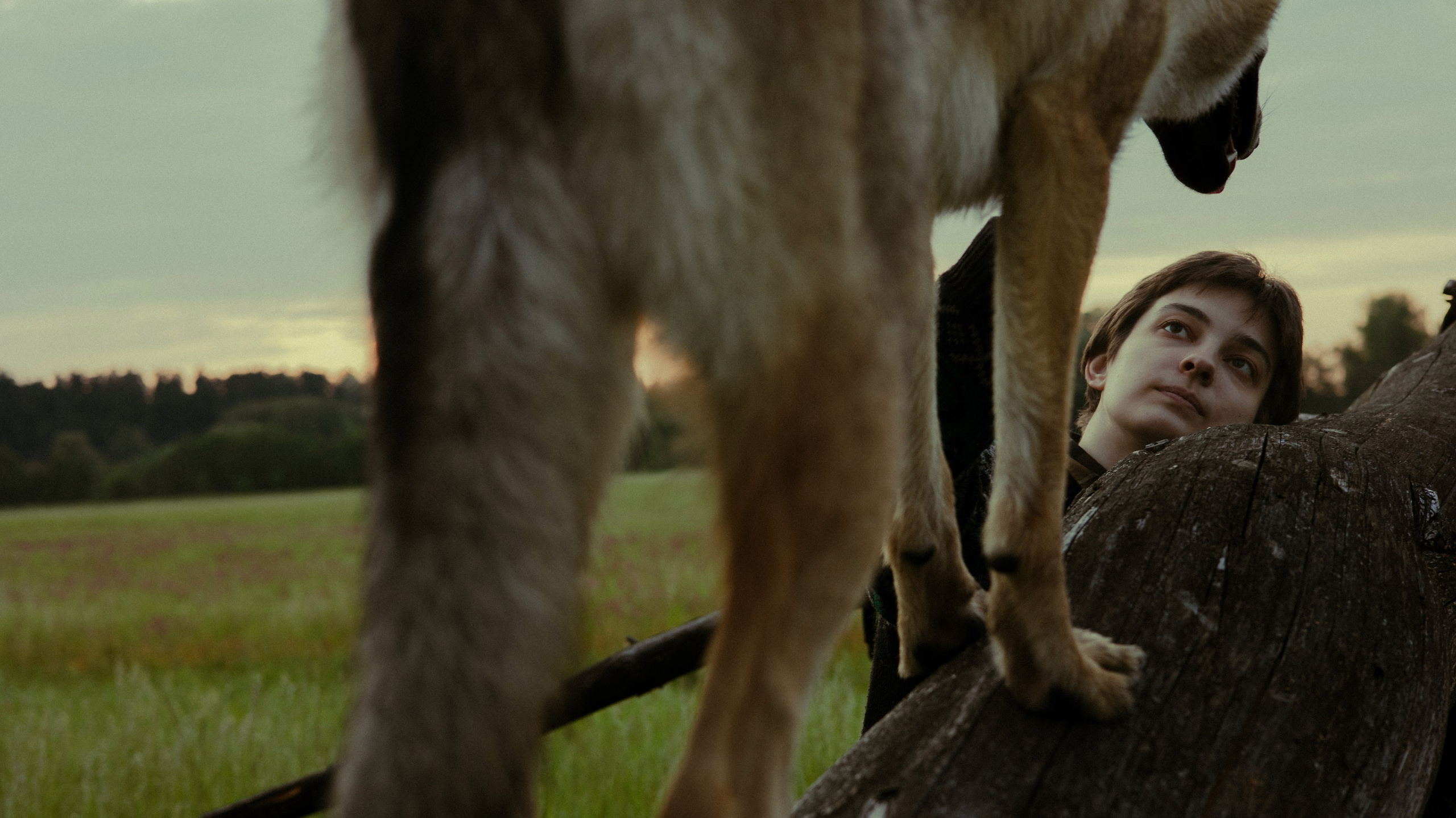 Маша и Дэрил. Фотограф-анималист Богданова Полина