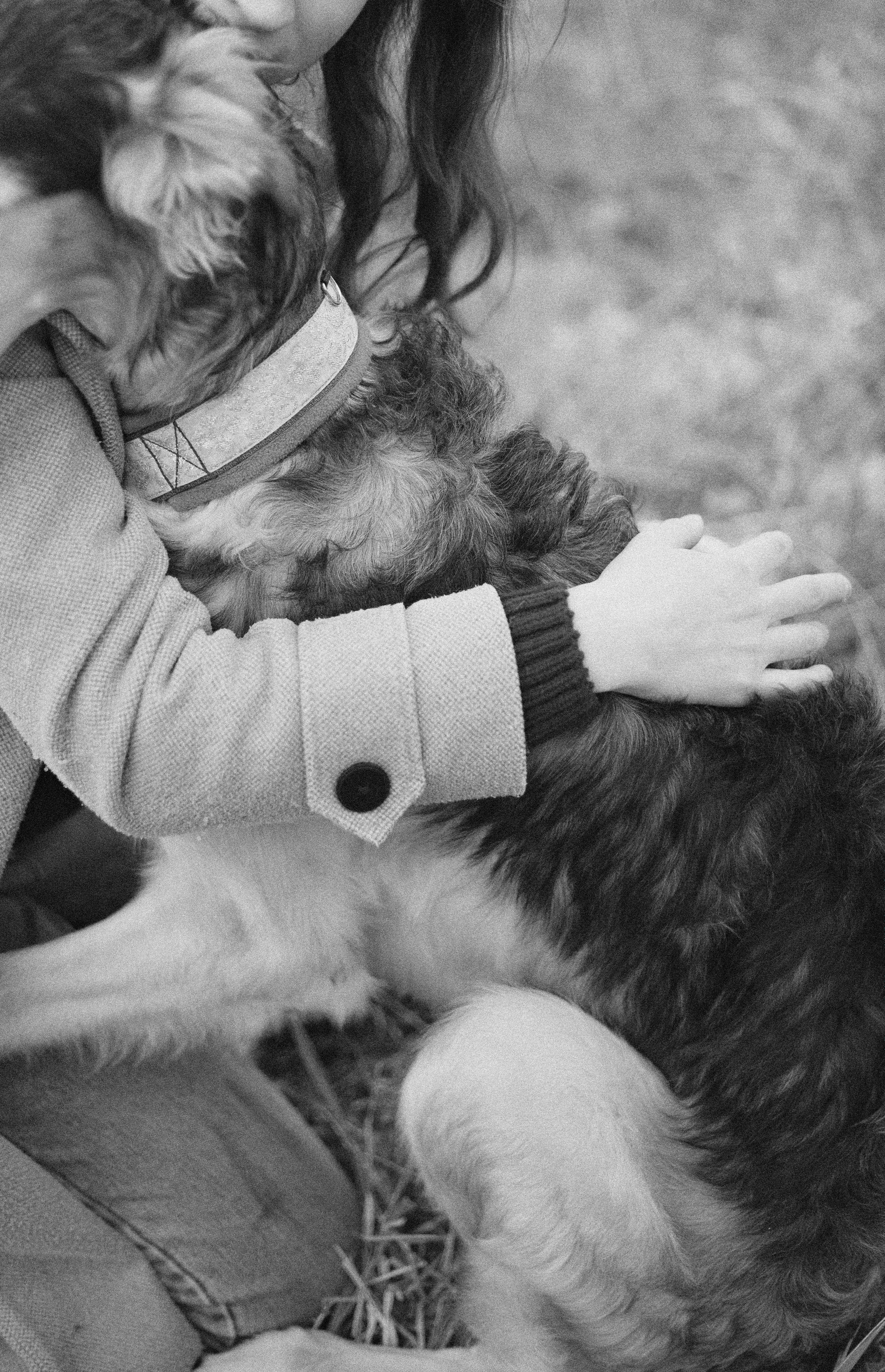 Алена, Леви и Микаса. Фотограф-анималист Богданова Полина