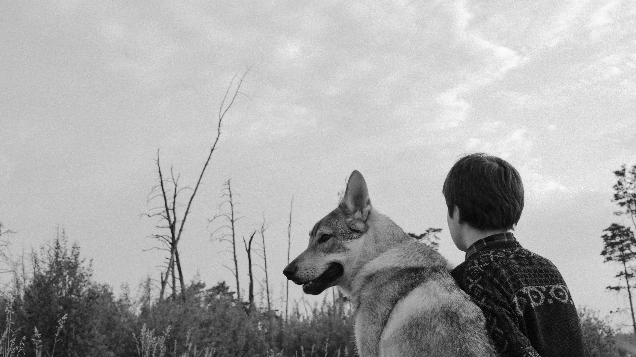 Маша и Дэрил. Фотограф-анималист Богданова Полина