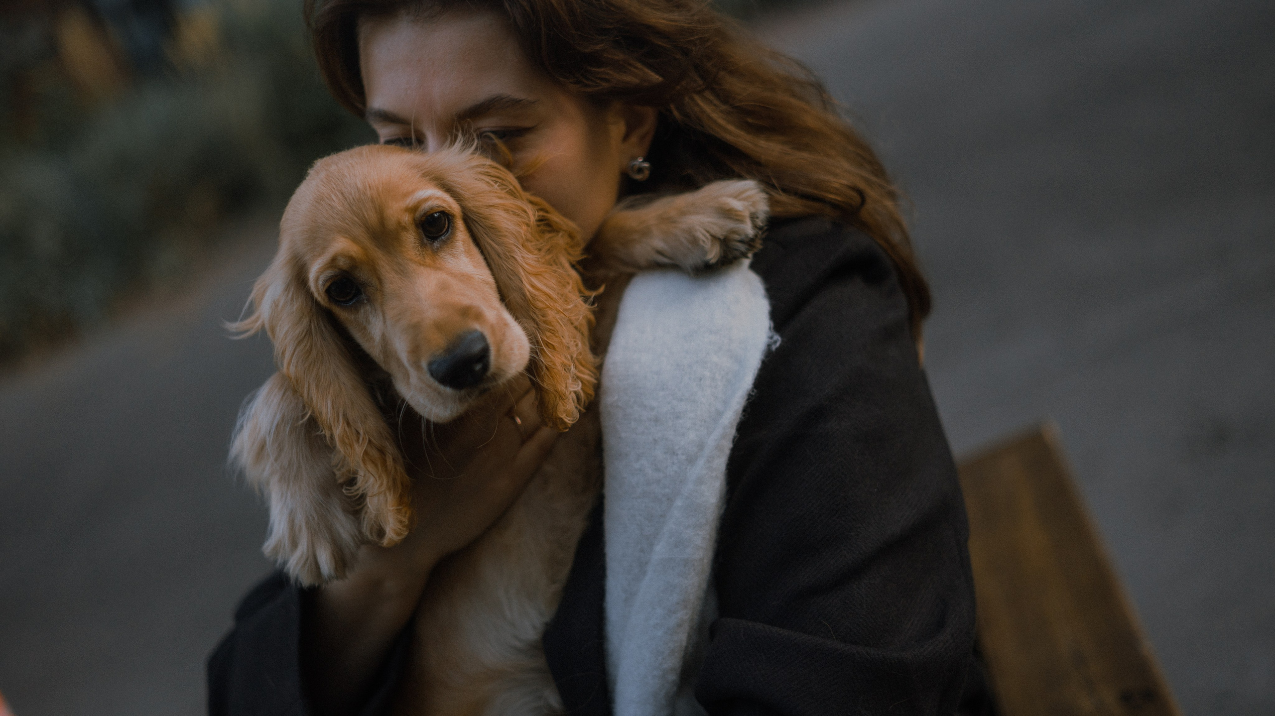 Аня, Андрей и Юта. Фотограф-анималист Богданова Полина