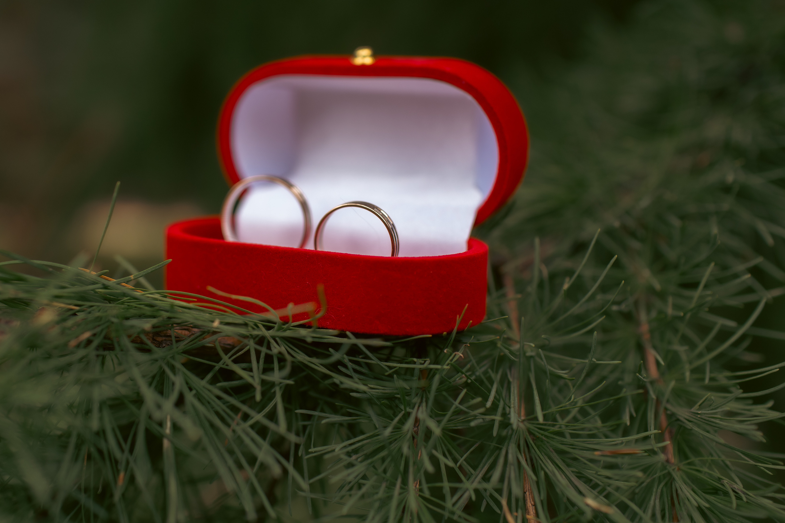 Мария и Максим / Изумительно красивые. Фотограф Омск Ольга Гинжул