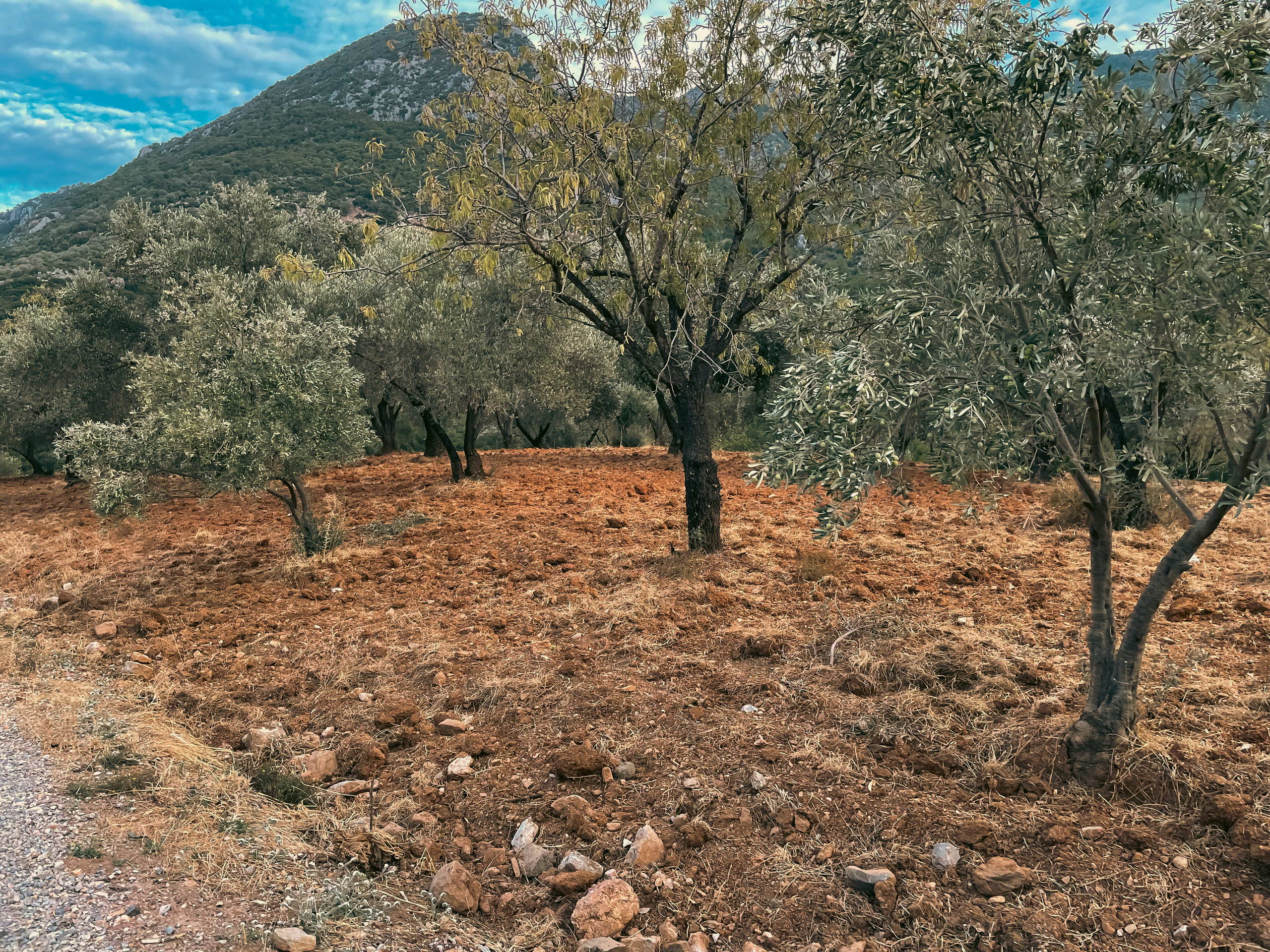 Турция / Сила ветра. Фотограф Омск Ольга Гинжул