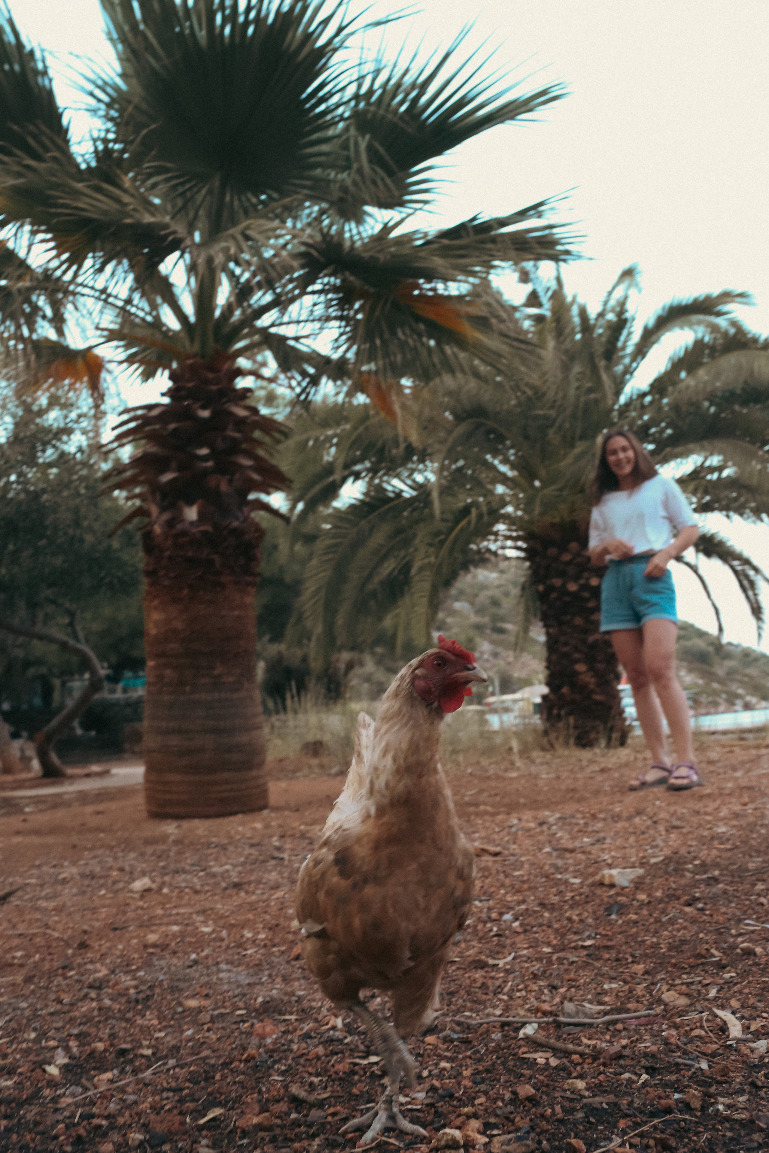 Турция / Сила ветра. Фотограф Омск Ольга Гинжул