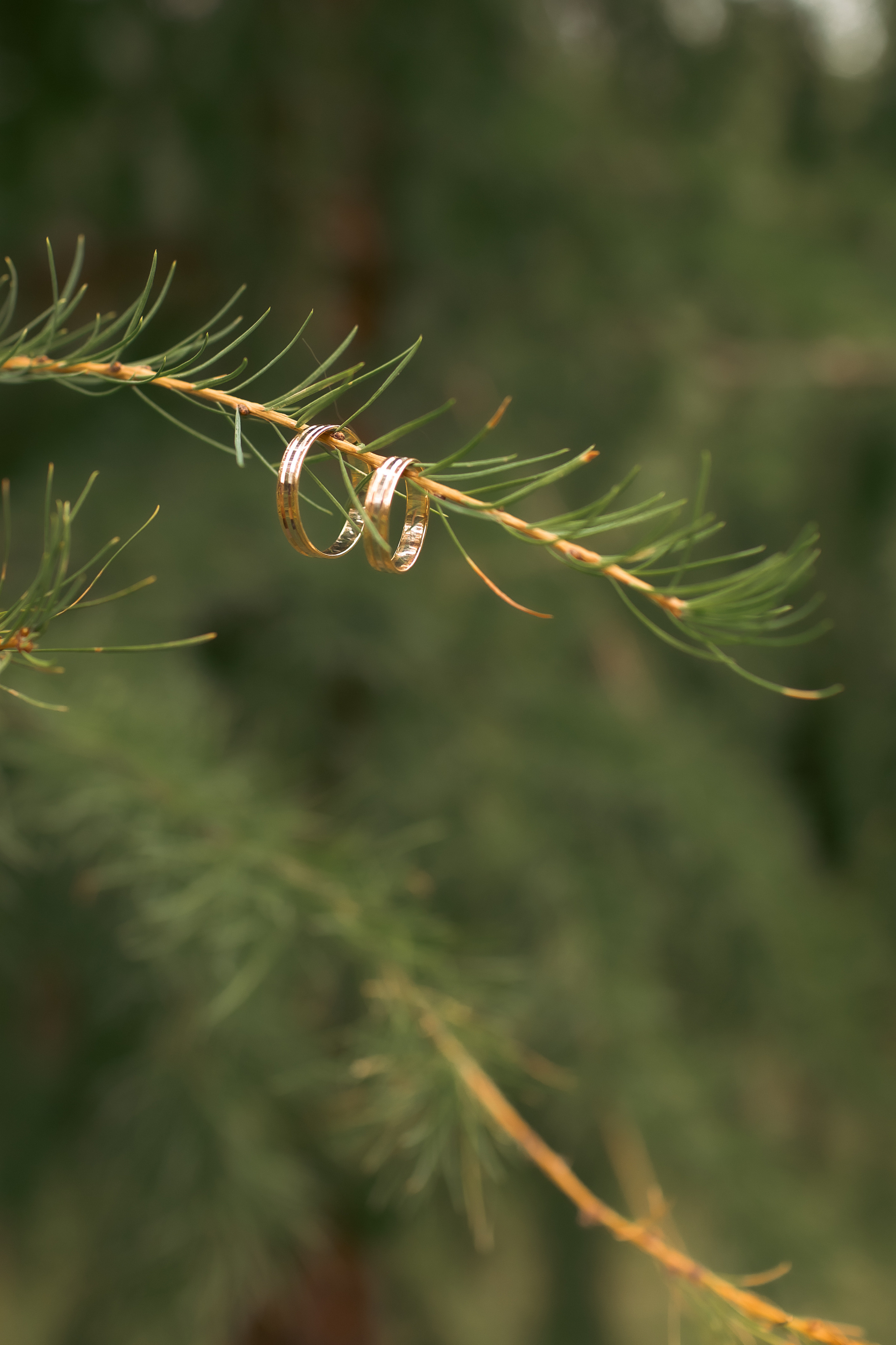 Мария и Максим / Изумительно красивые. Фотограф Омск Ольга Гинжул