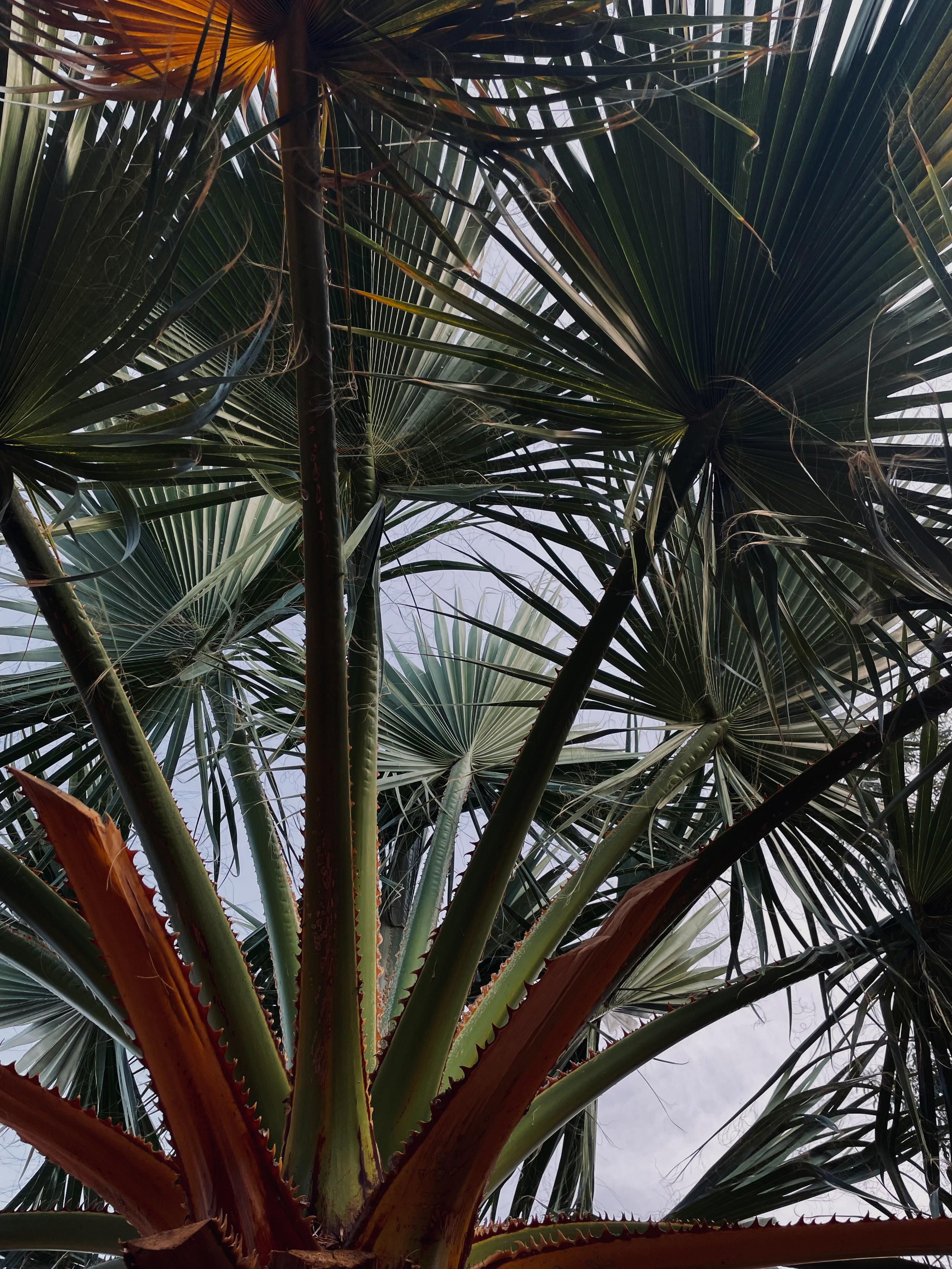 Турция / Сила ветра. Фотограф Омск Ольга Гинжул