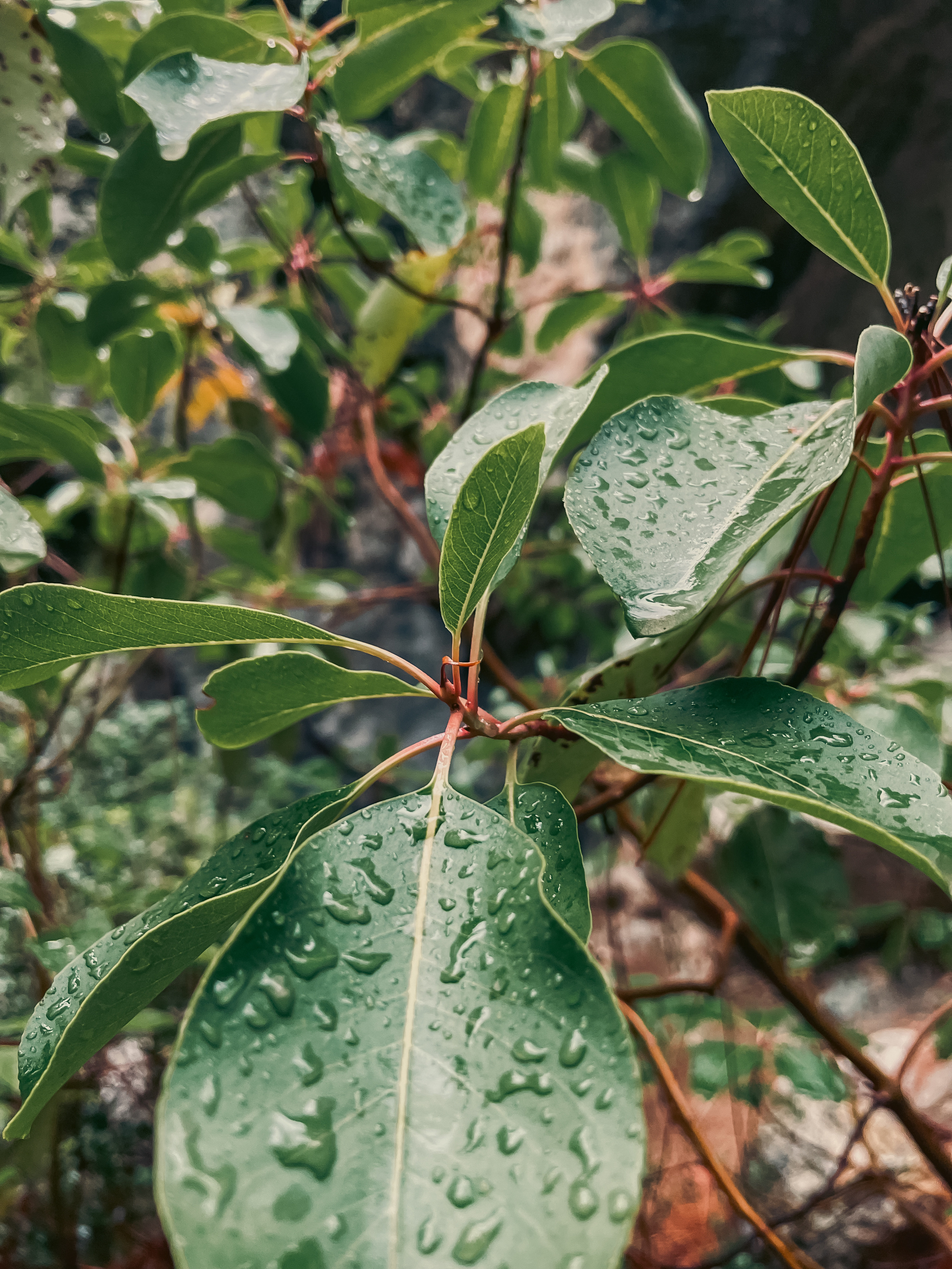 Турция / Сила ветра. Фотограф Омск Ольга Гинжул