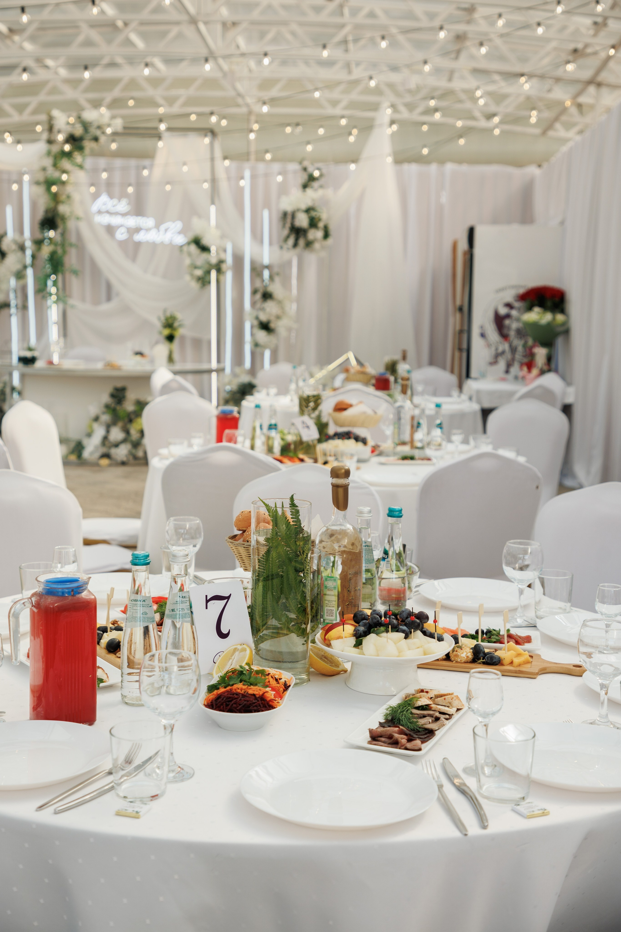 Сентябрь 2025, Белый лис, Выкса. Фотограф городских и семейных событий в Нижнем Новгороде Артем Карпухин