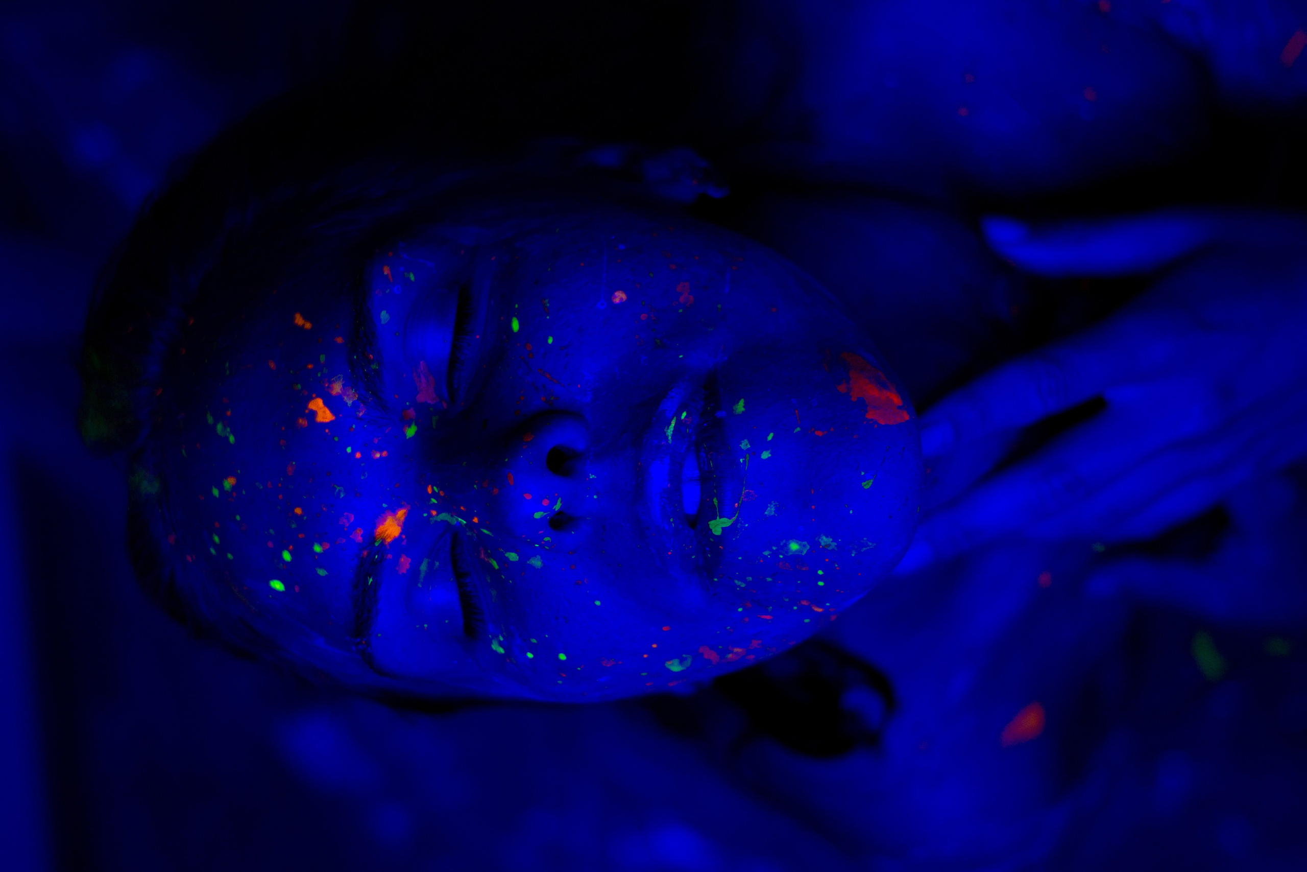 Арт-фотограф Побоева Антонина