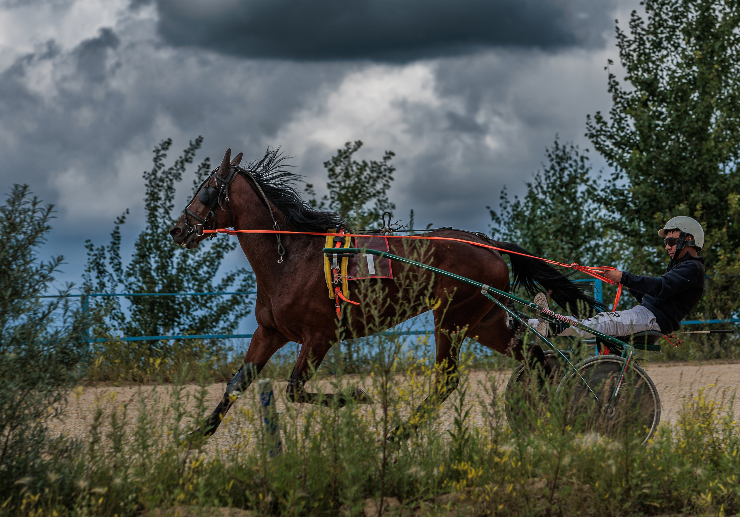 2025. Конный фотограф в Красноярске — Любовь Похабова