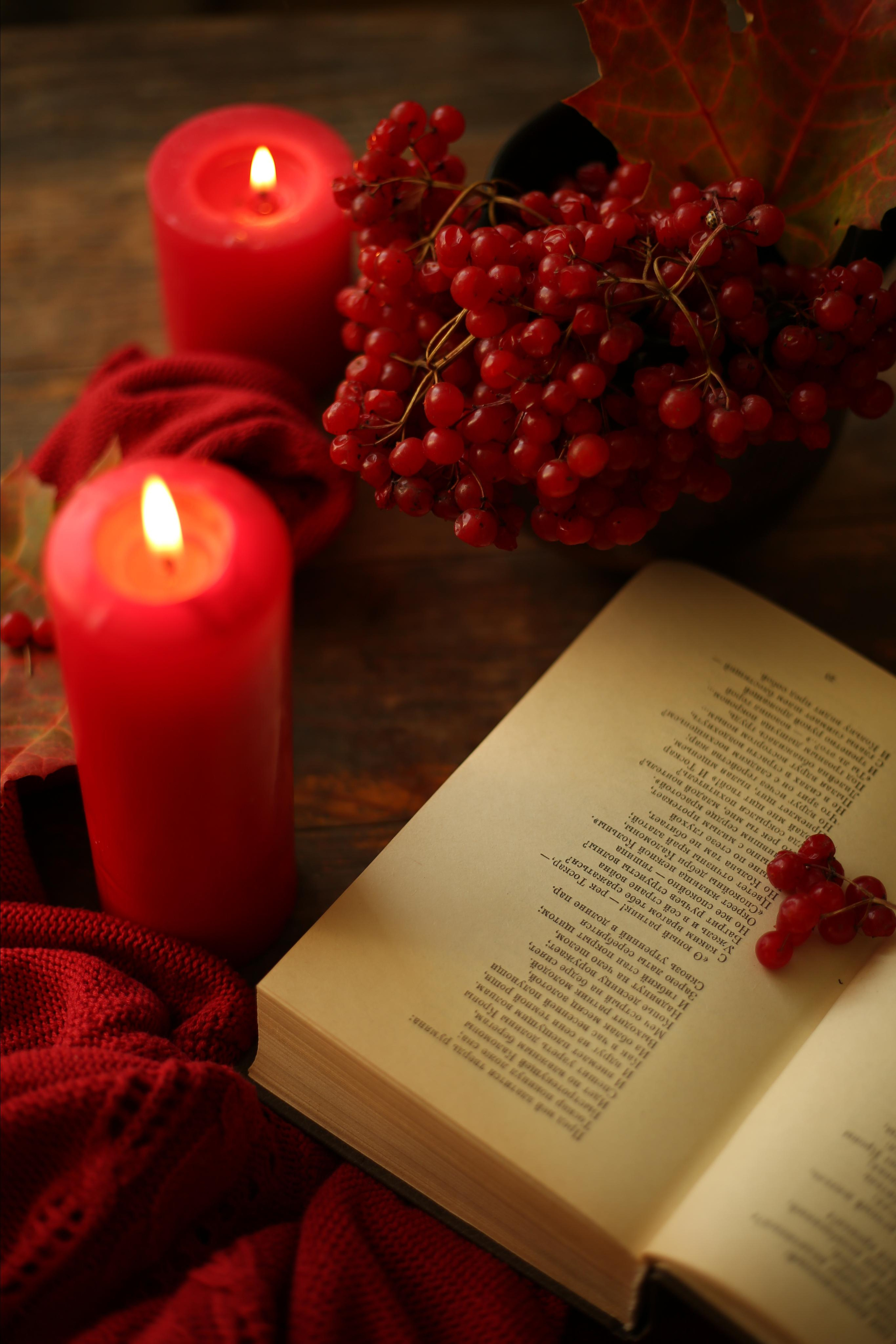 Фотограф в Старом Осколе, Губкине Надежда Приболовец