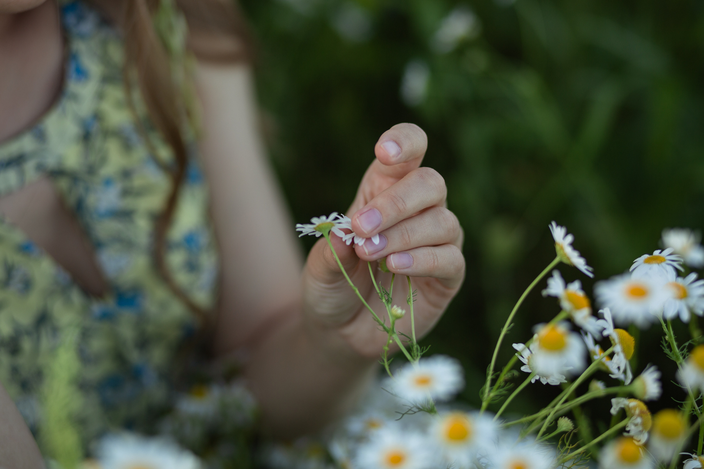 Валерия. Фотограф в Старом Осколе, Губкине Надежда Приболовец