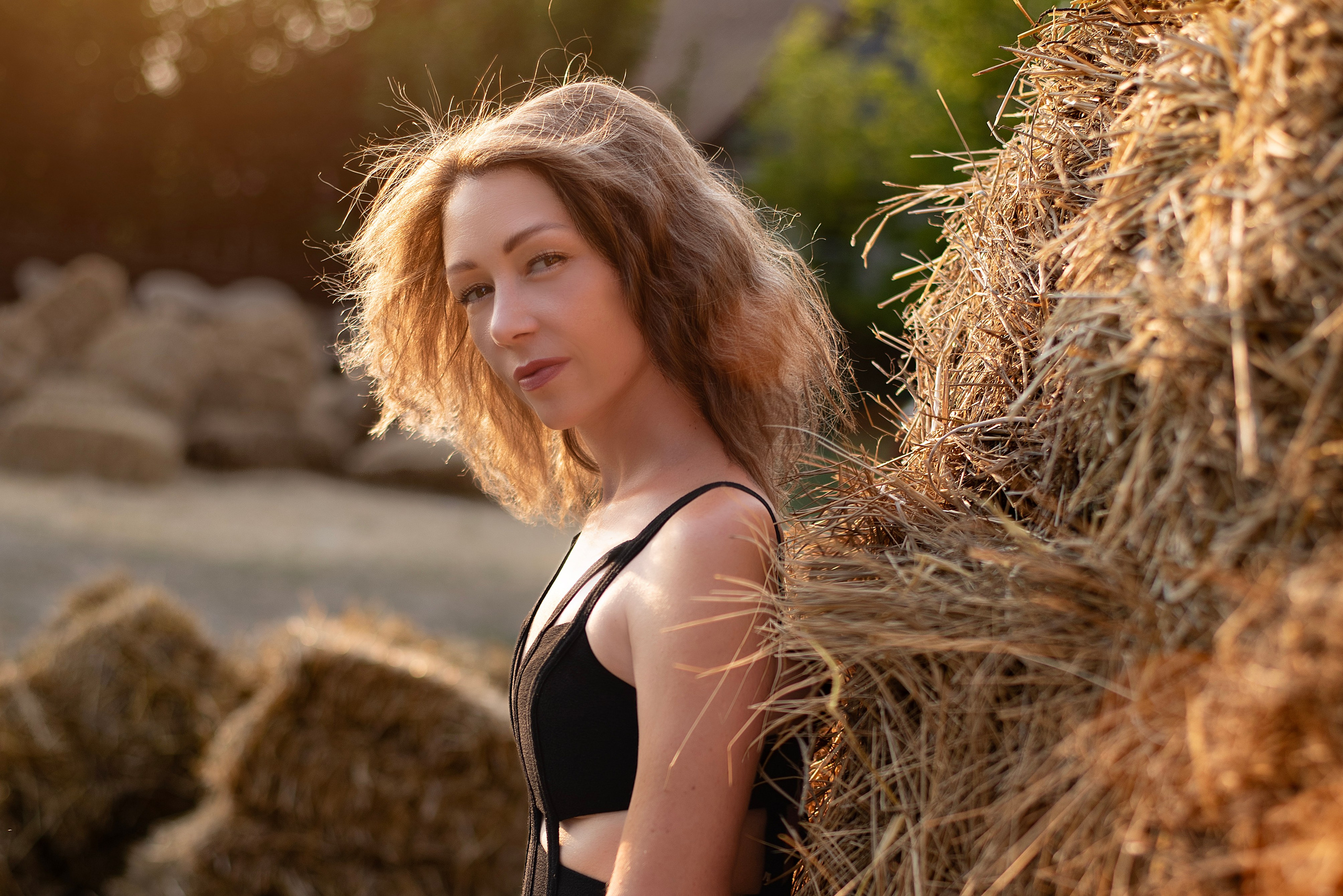 Леди и лошадь. Главная