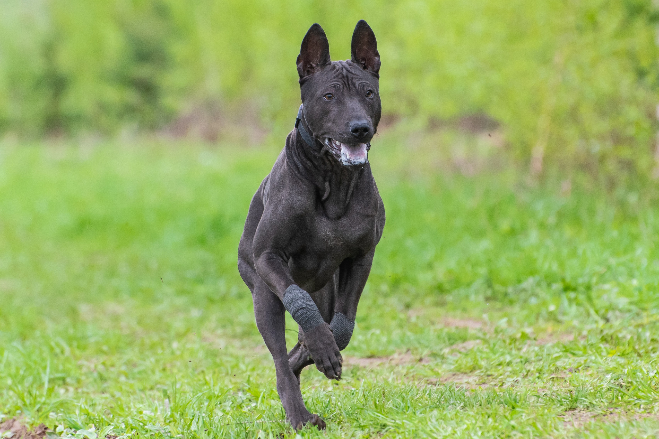 Фотографии с Курсинга. Фотограф Макс Огурцов в Нижнем Новгороде