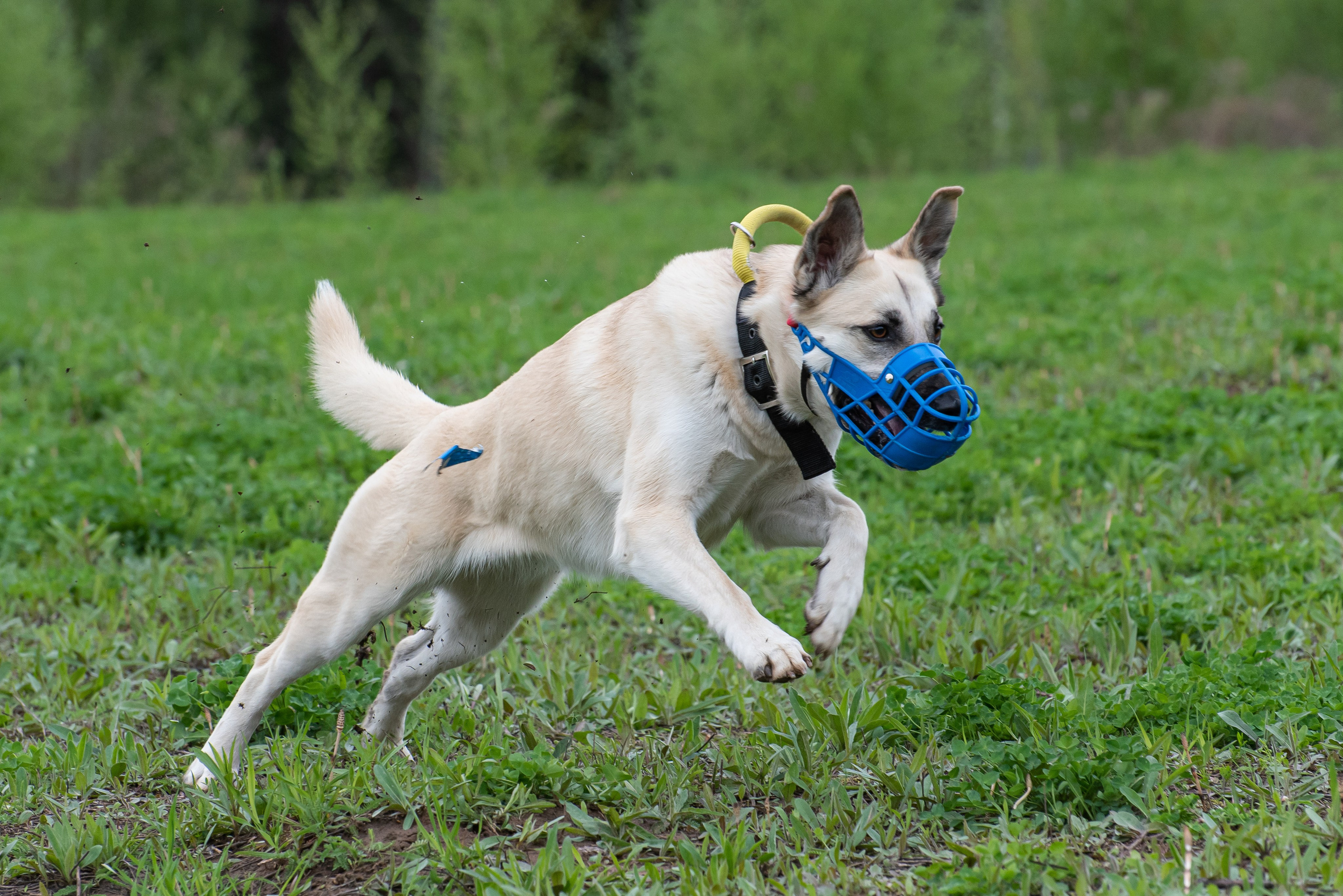 Фотографии с Курсинга. Фотограф Макс Огурцов в Нижнем Новгороде