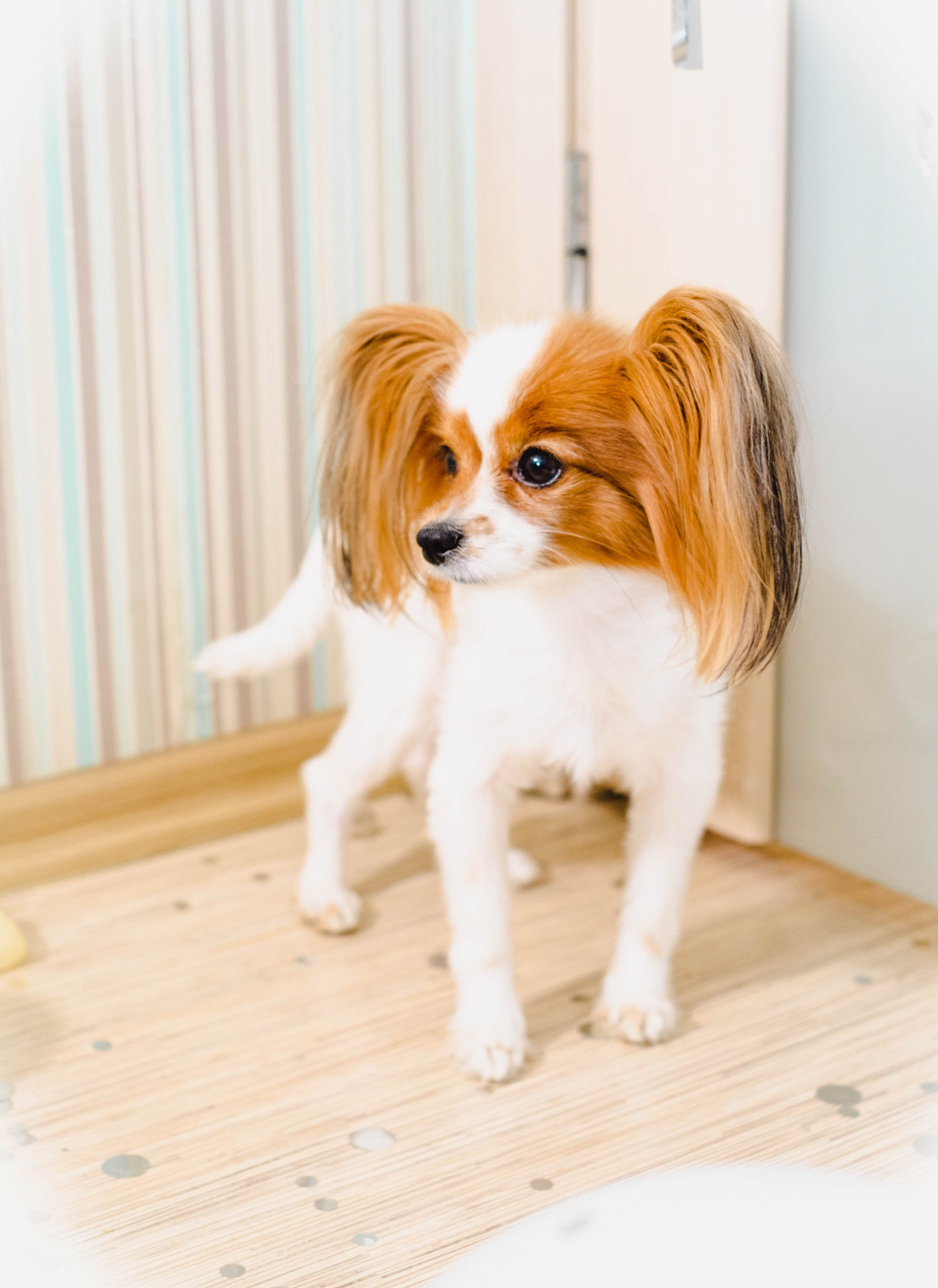 День рождения. Студийный, портретный, семейный фотограф Южно-Сахалинска Яна Радаева