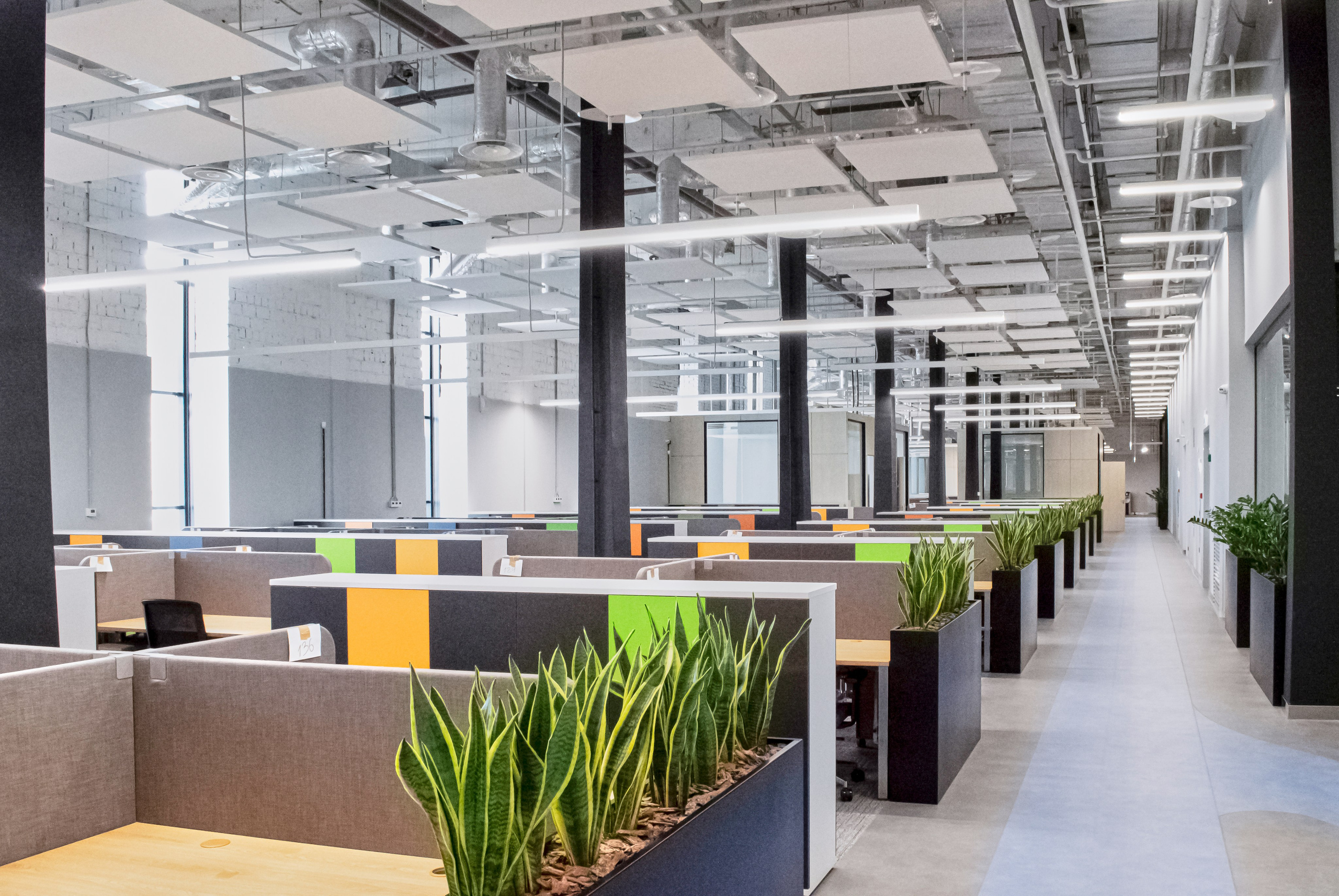 Озеленение ГК Techo. Фото и видео съемка в Сочи Адлере Красной поляне